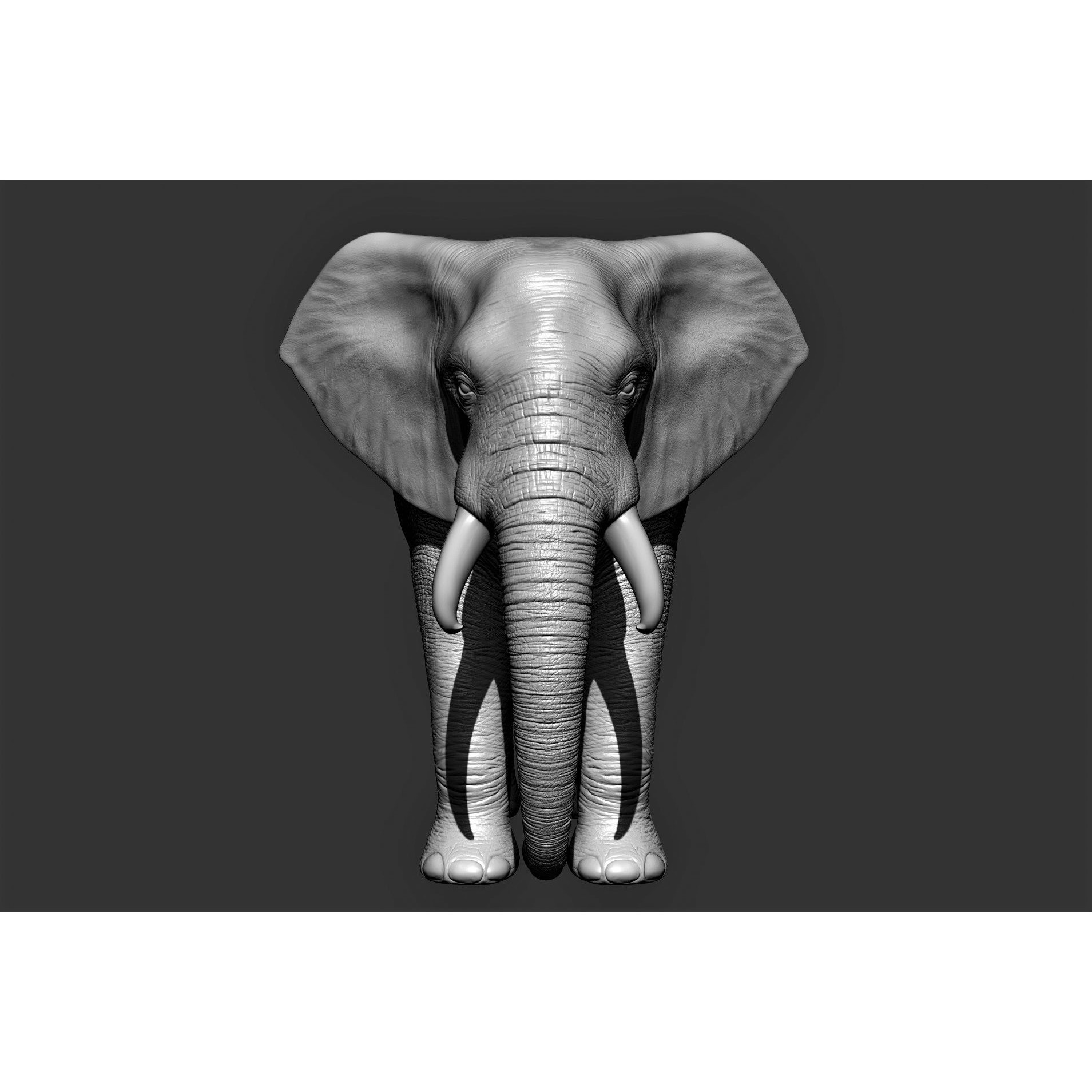 Wild Animal Collection - Realistic 3D Model - View 16