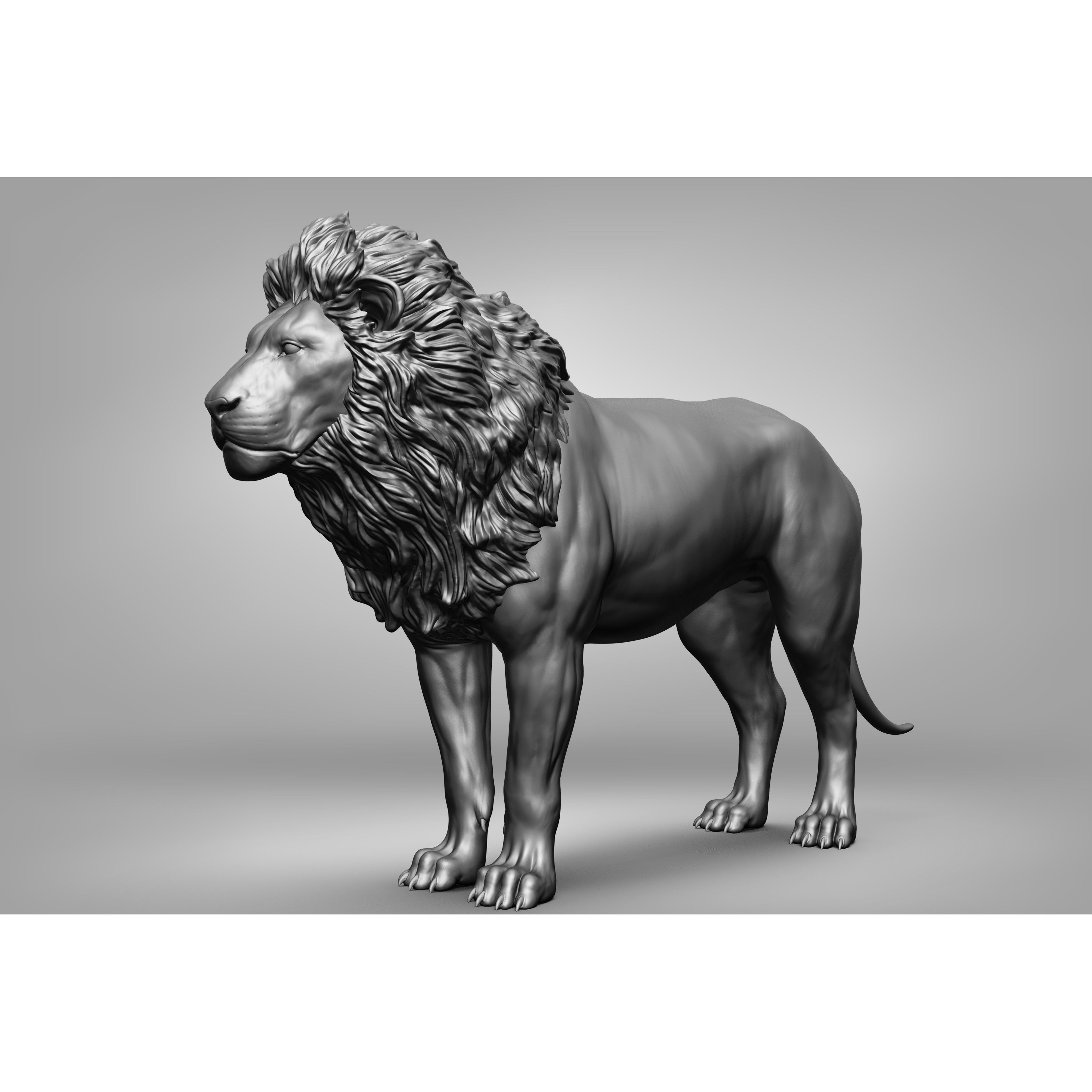 Wild Animal Collection - Realistic 3D Model - View 18