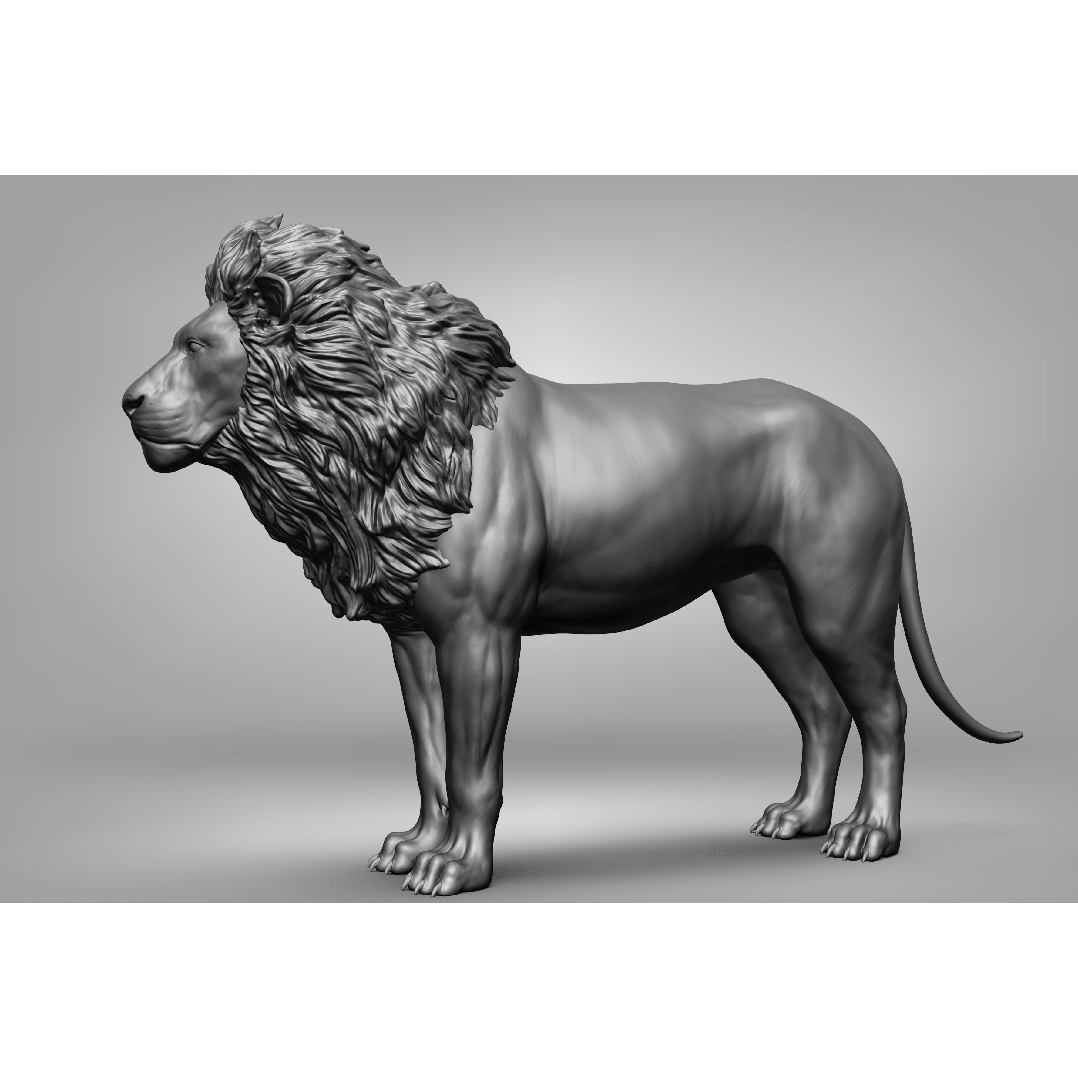 Wild Animal Collection - Realistic 3D Model - View 19