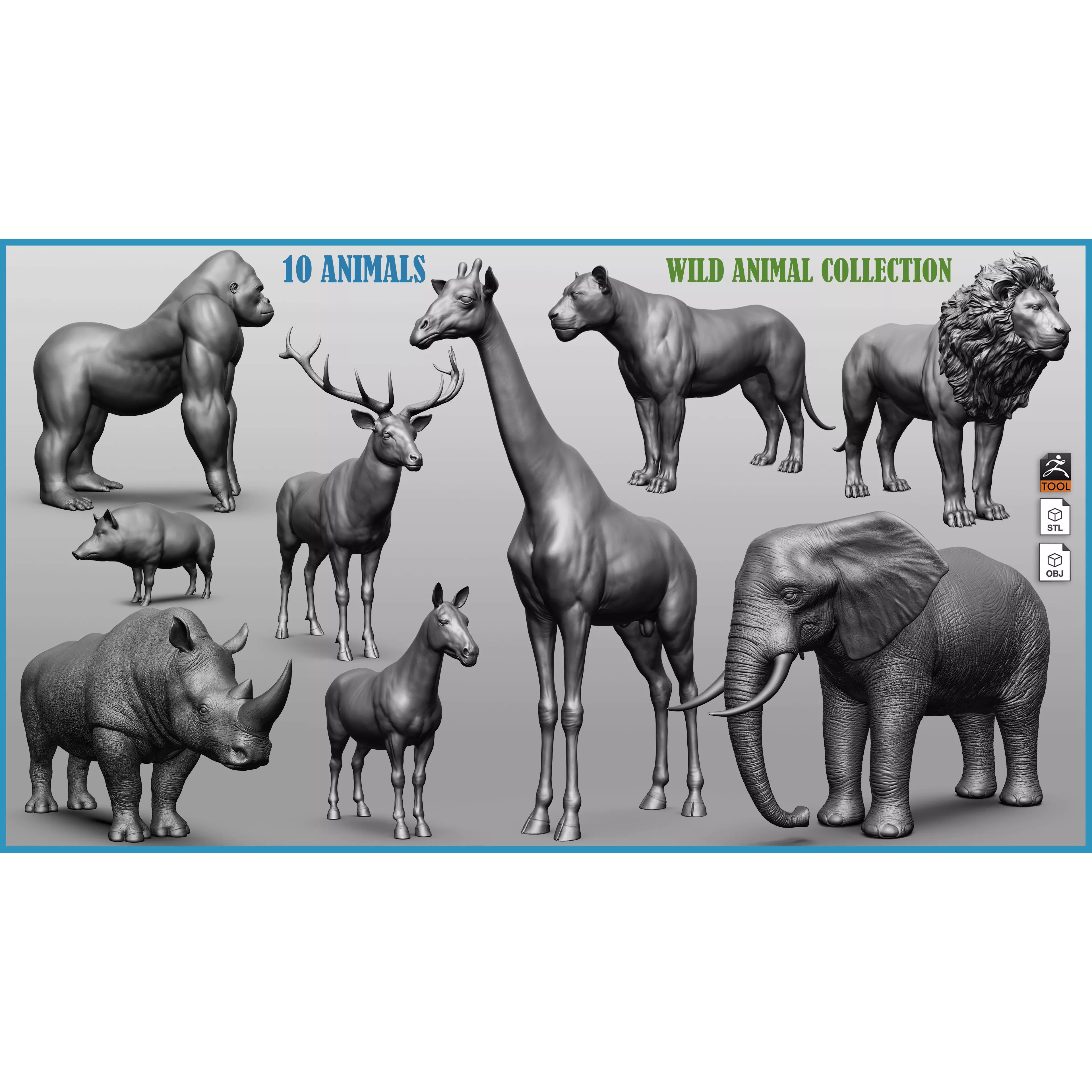 Wild Animal Collection - Realistic 3D Model - View 2