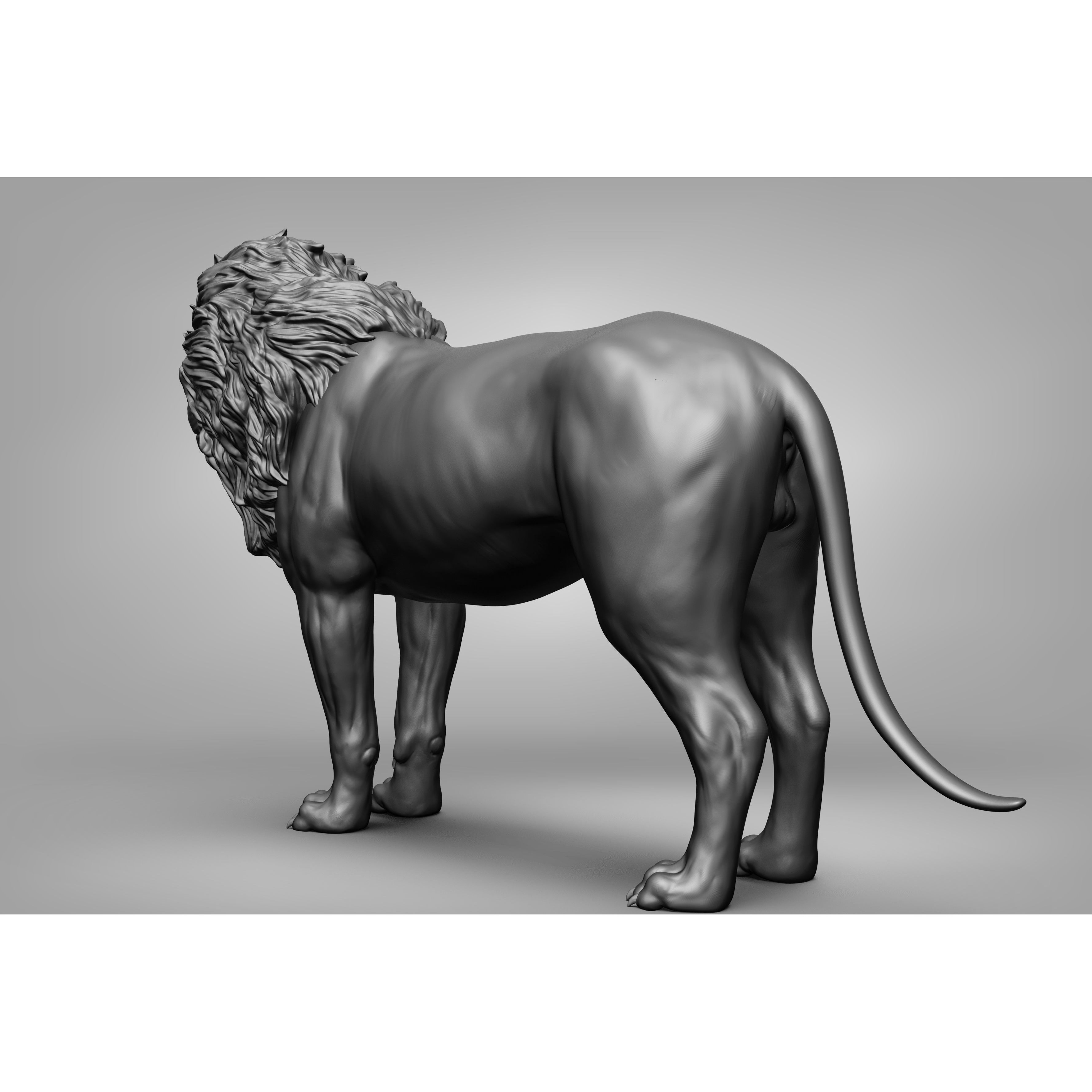 Wild Animal Collection - Realistic 3D Model - View 21