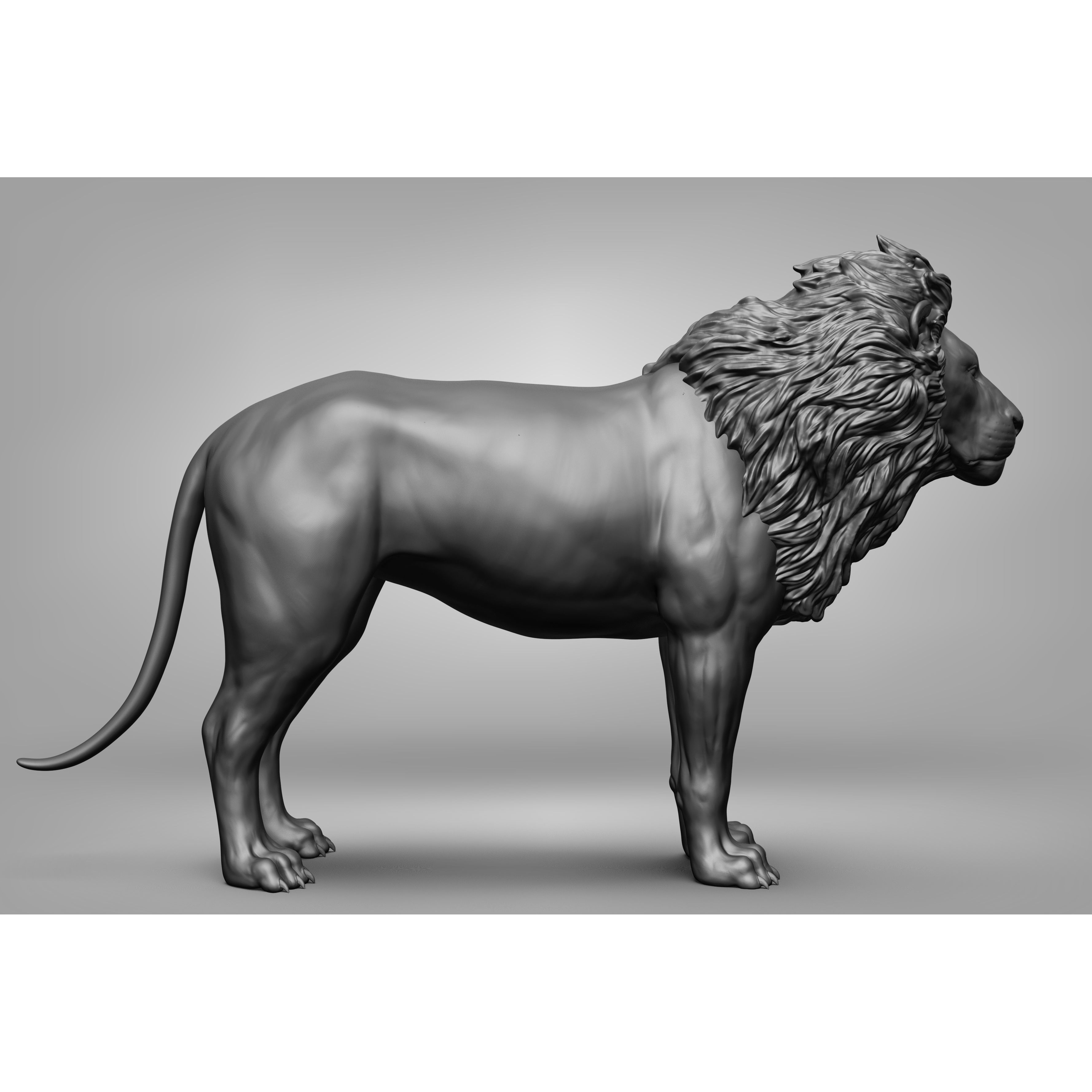Wild Animal Collection - Realistic 3D Model - View 22