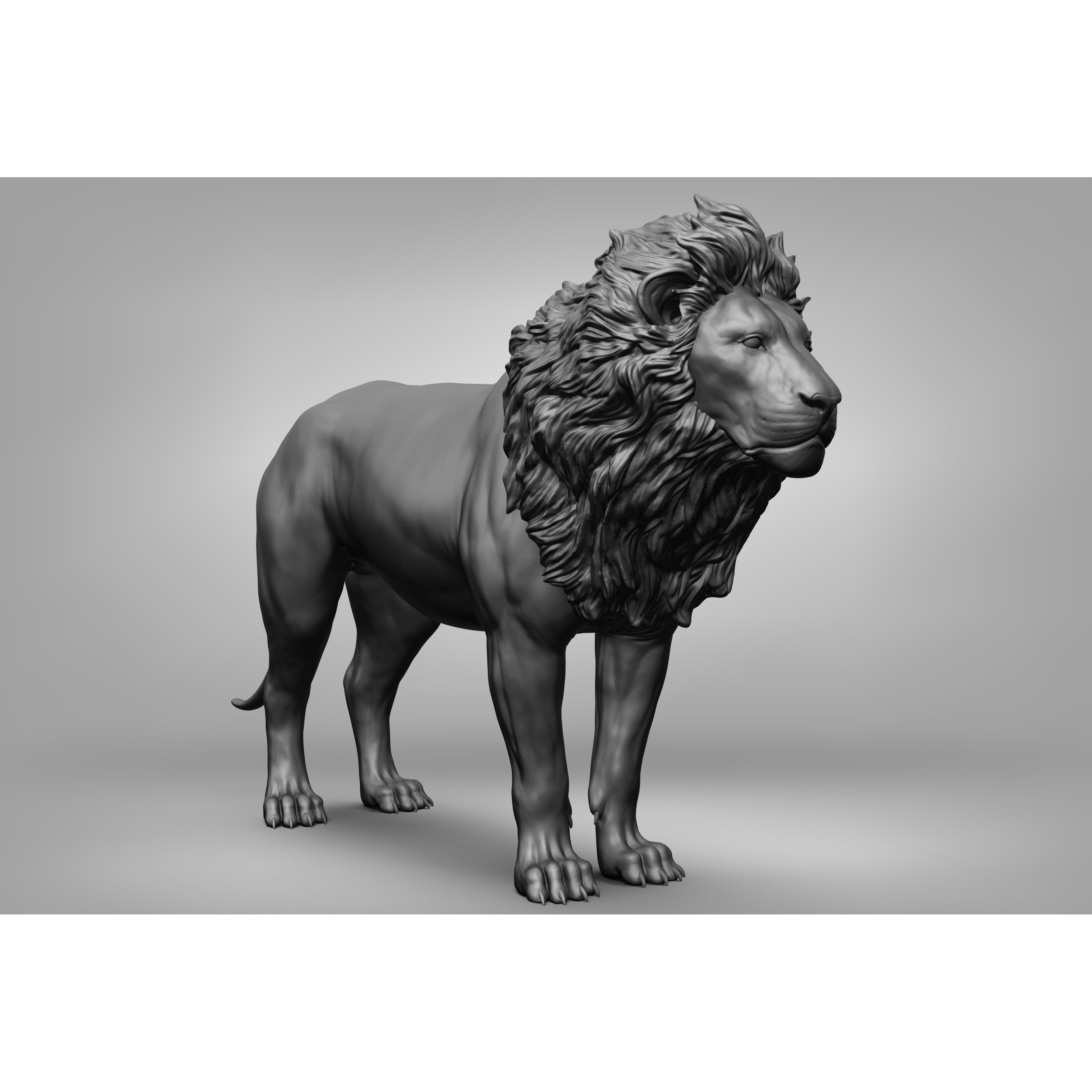 Wild Animal Collection - Realistic 3D Model - View 23