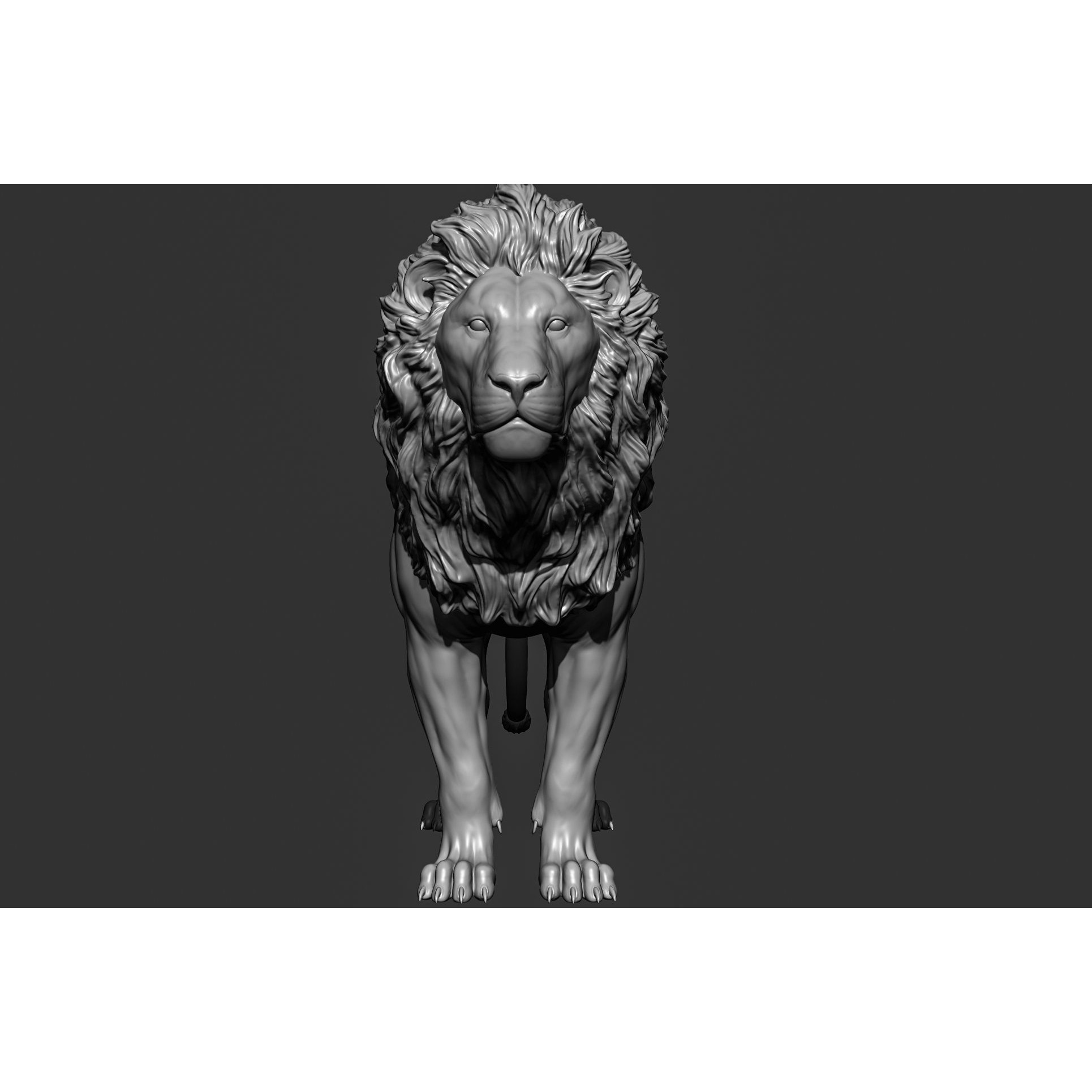 Wild Animal Collection - Realistic 3D Model - View 25