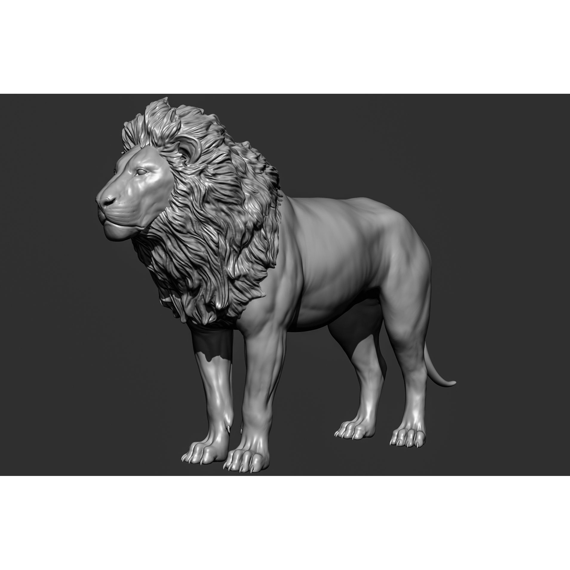 Wild Animal Collection - Realistic 3D Model - View 26