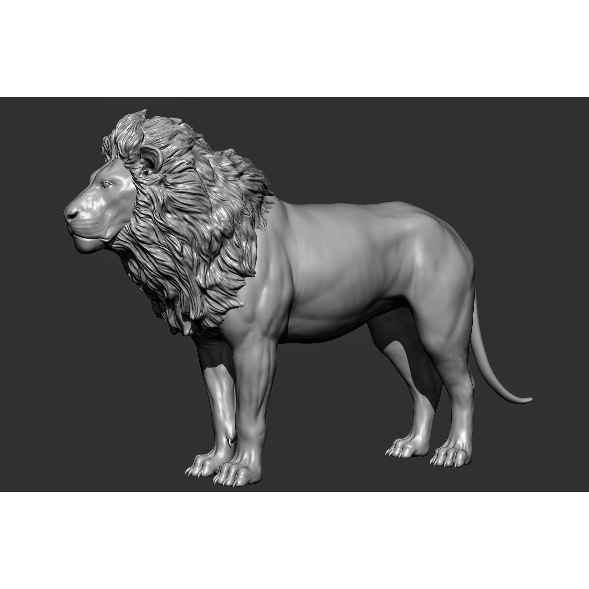 Wild Animal Collection - Realistic 3D Model - View 27