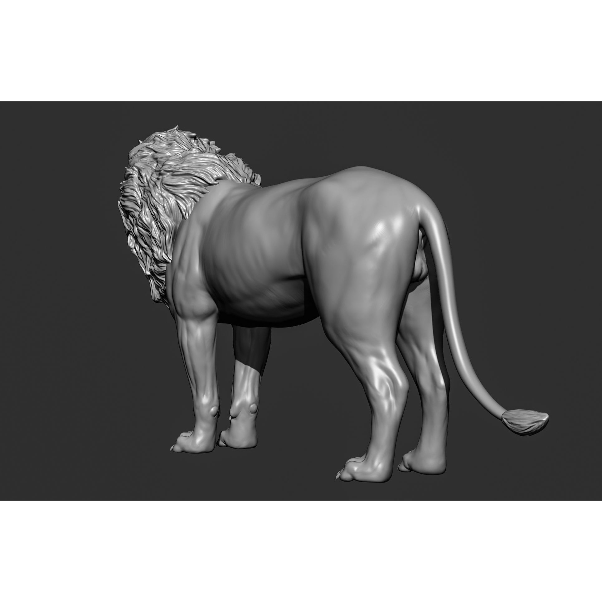Wild Animal Collection - Realistic 3D Model - View 29