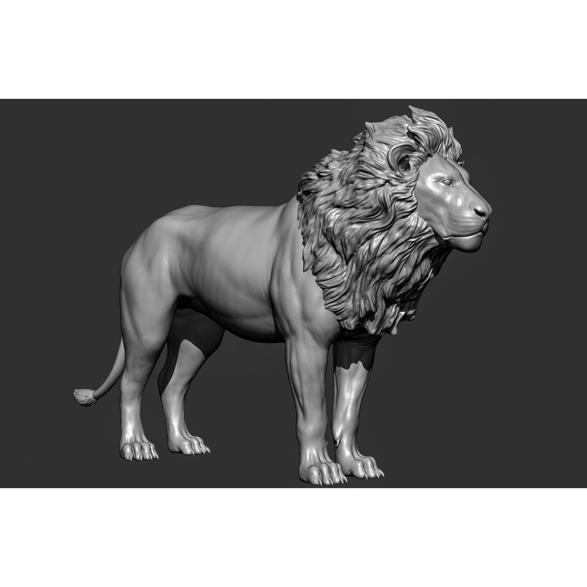 Wild Animal Collection - Realistic 3D Model - View 30