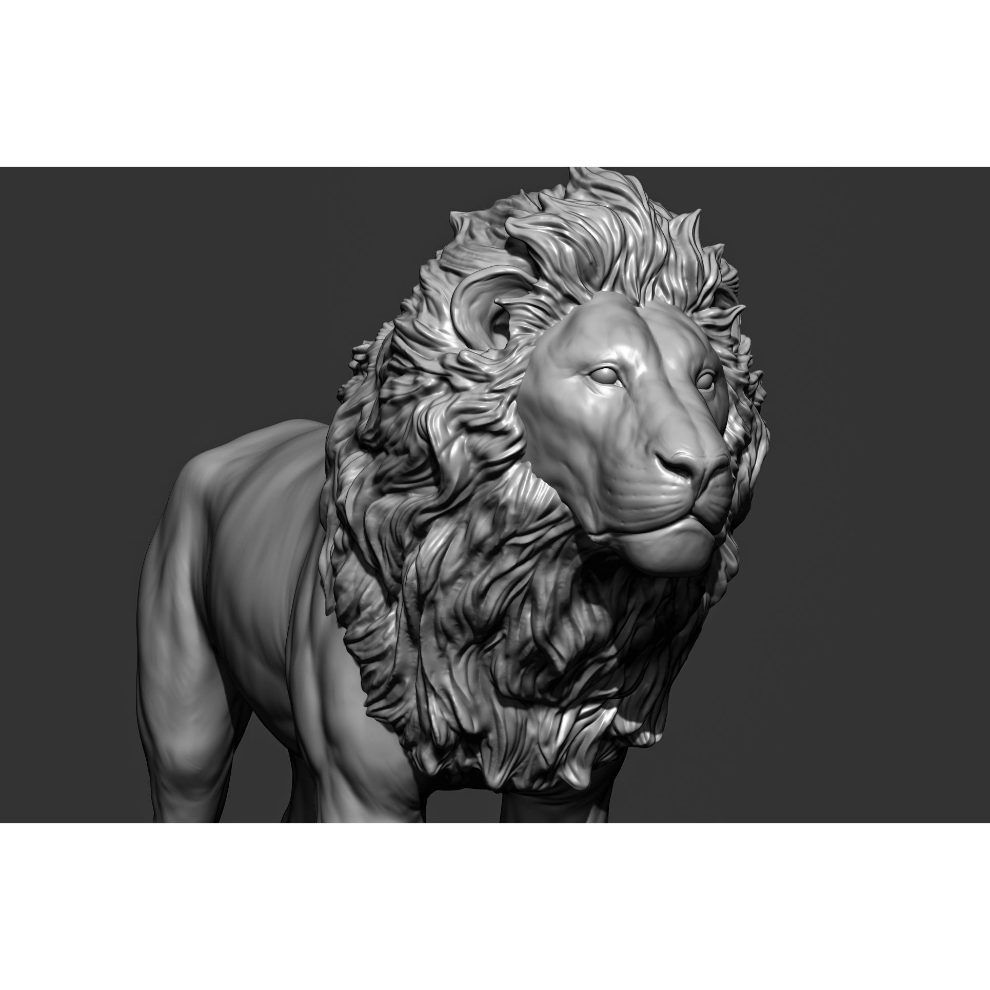 Wild Animal Collection - Realistic 3D Model - View 31