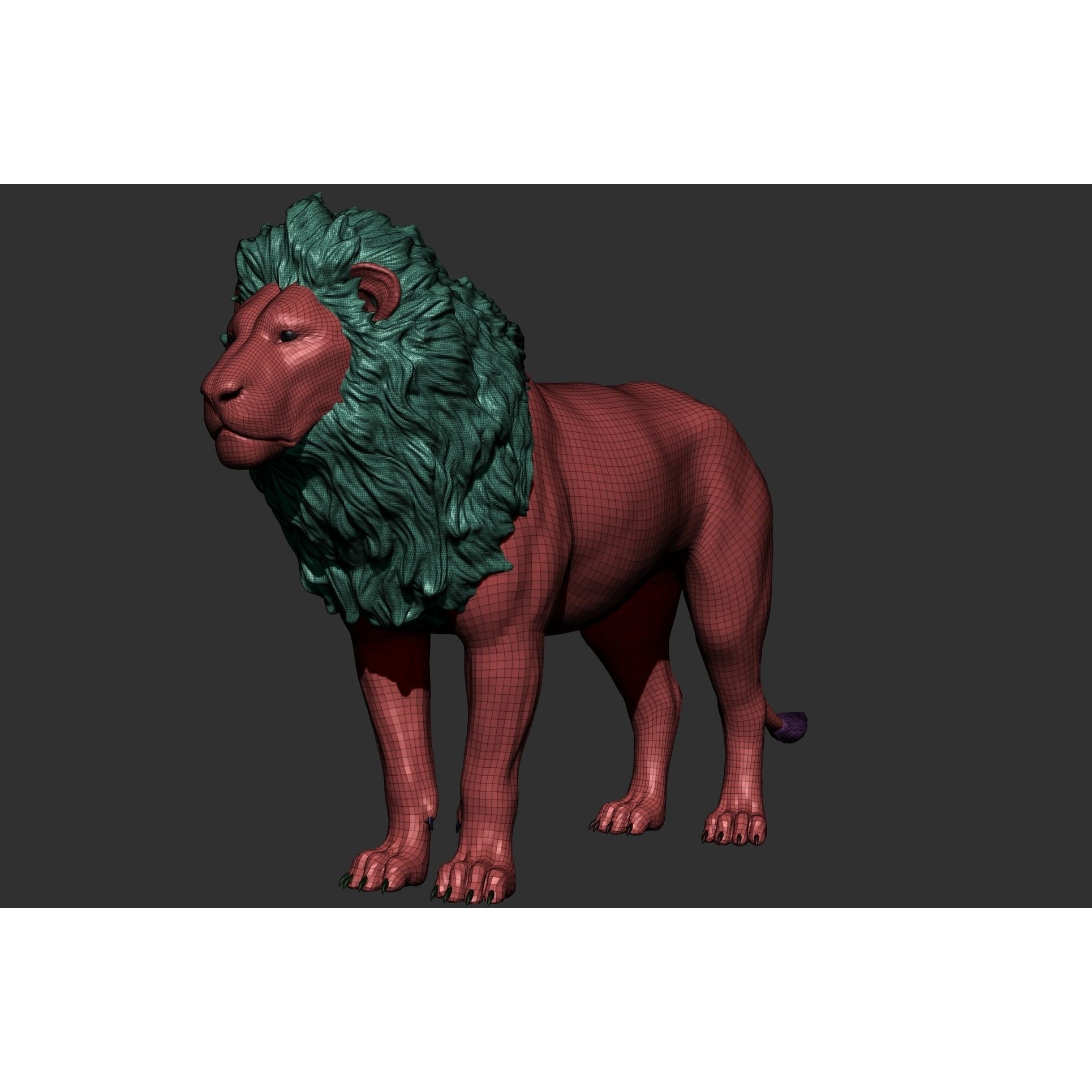 Wild Animal Collection - Realistic 3D Model - View 32