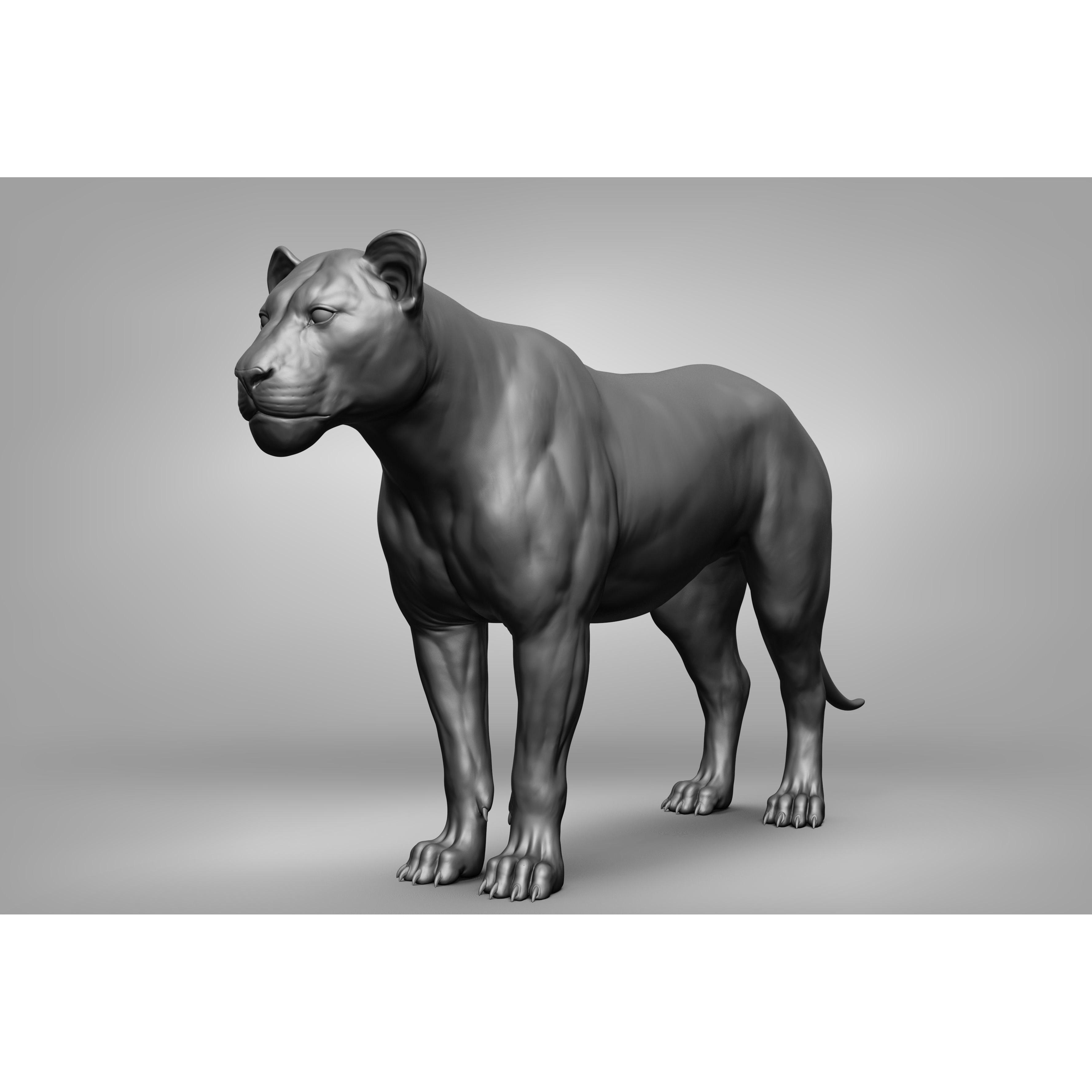 Wild Animal Collection - Realistic 3D Model - View 33