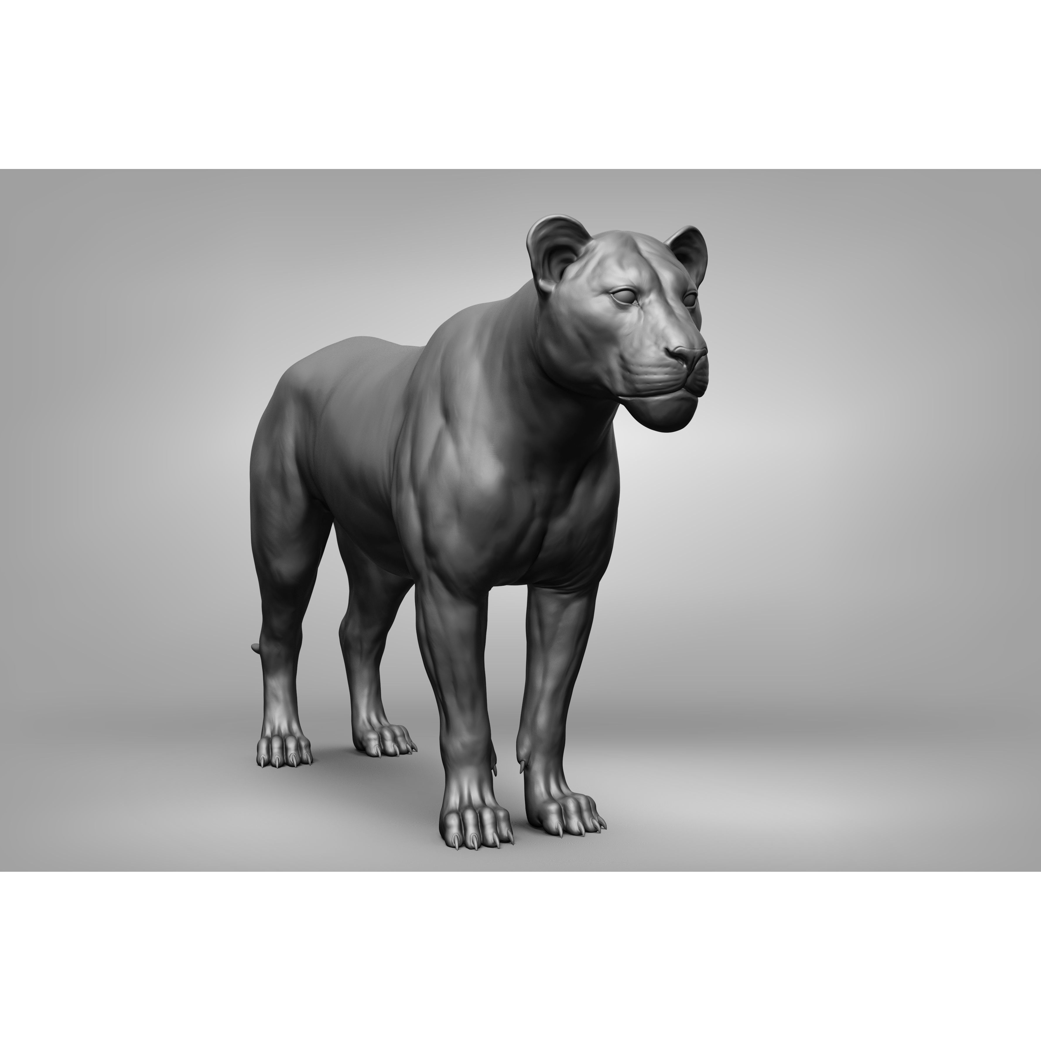 Wild Animal Collection - Realistic 3D Model - View 38