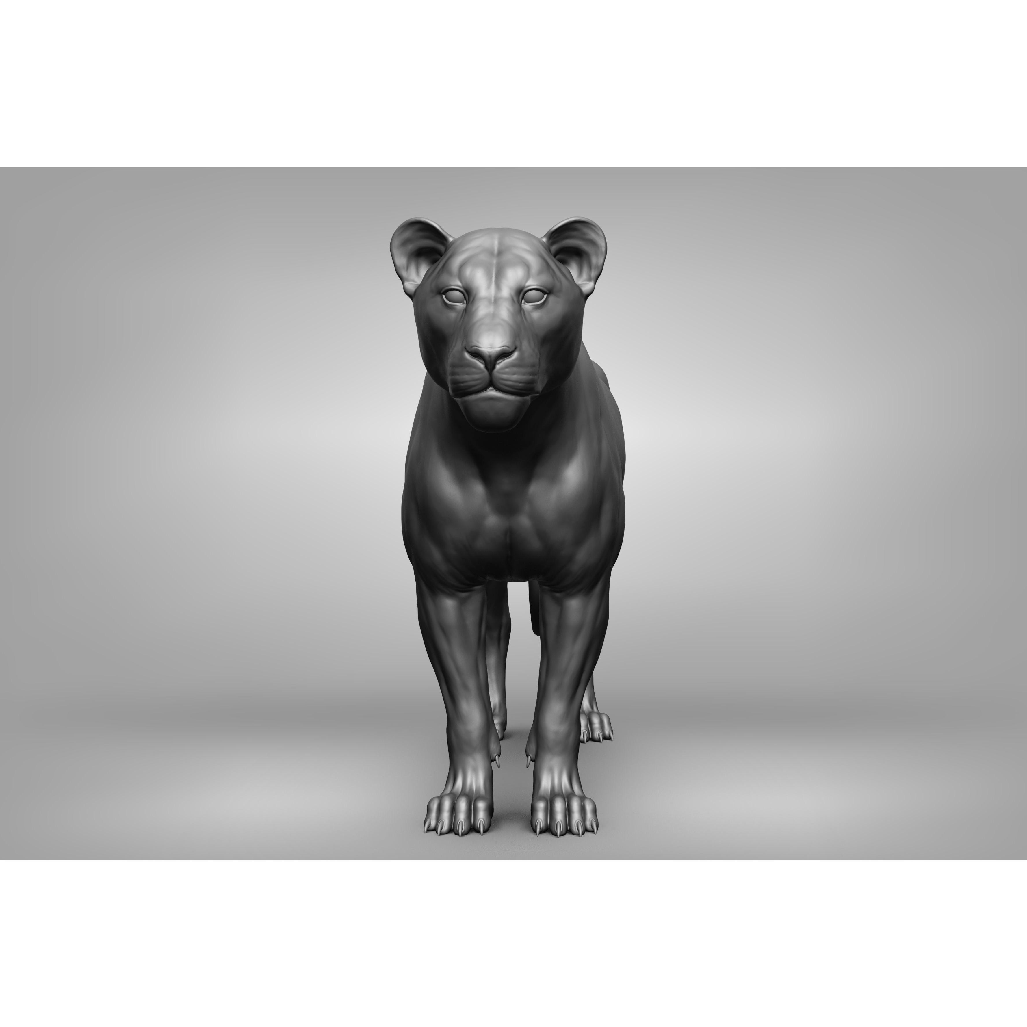 Wild Animal Collection - Realistic 3D Model - View 40