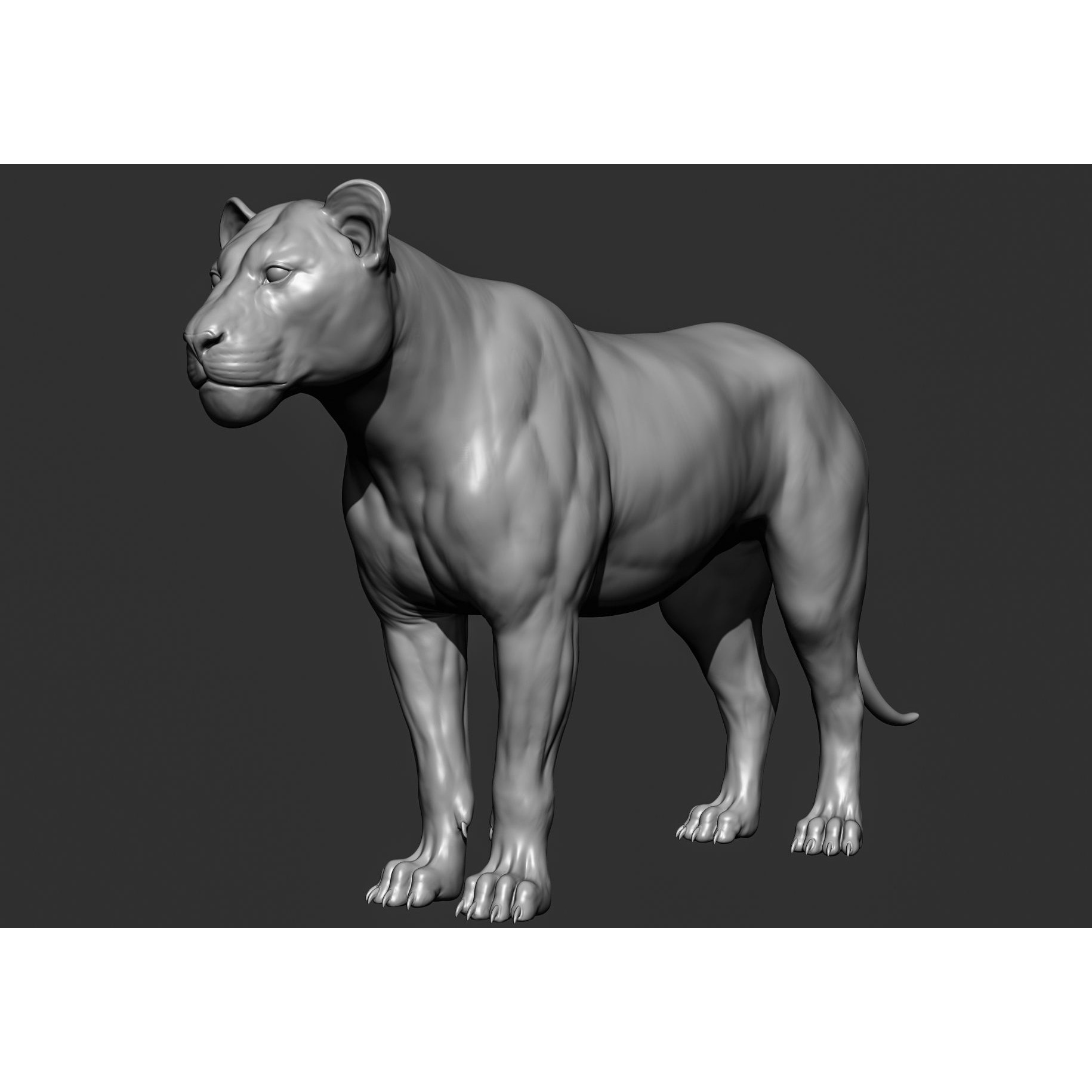 Wild Animal Collection - Realistic 3D Model - View 41