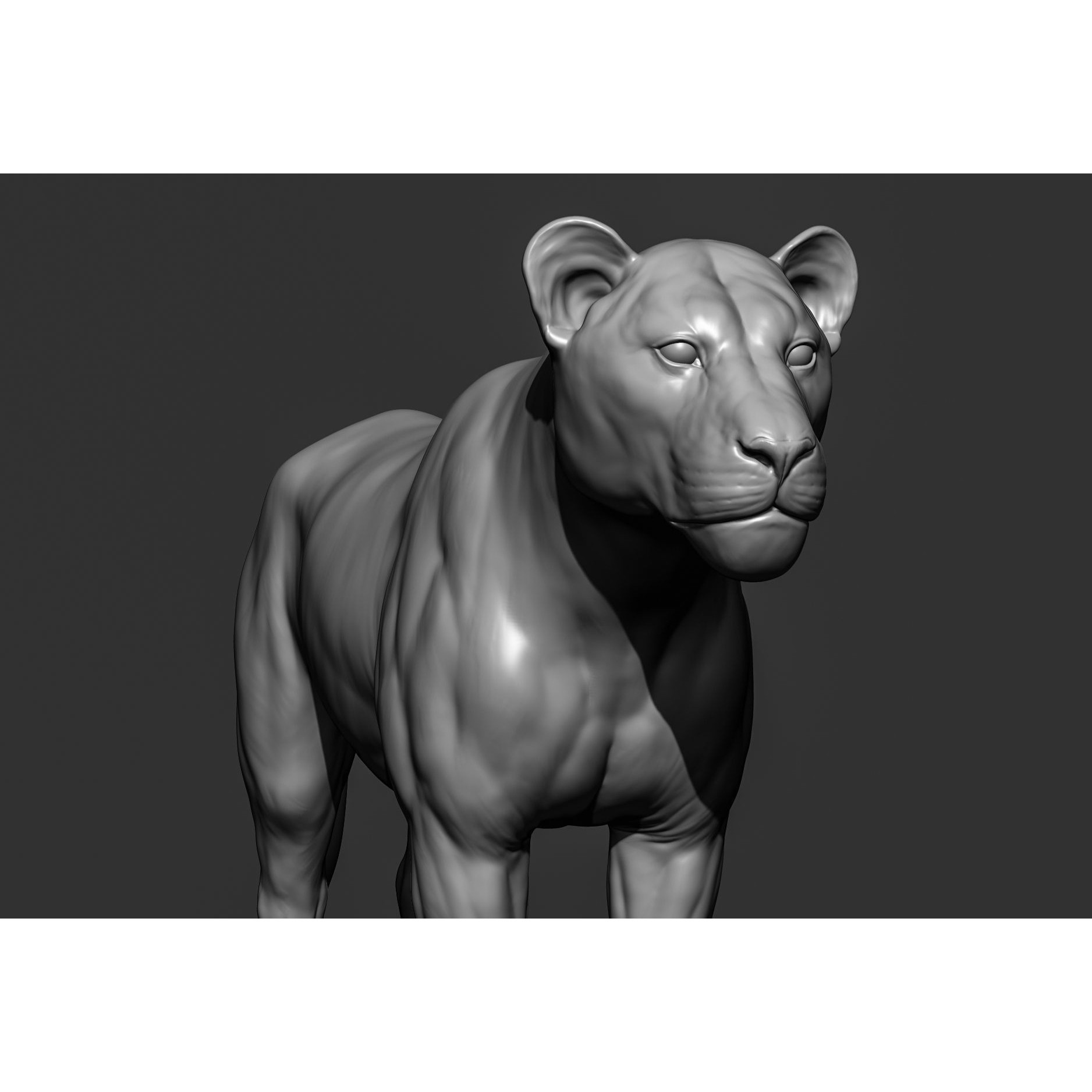 Wild Animal Collection - Realistic 3D Model - View 48
