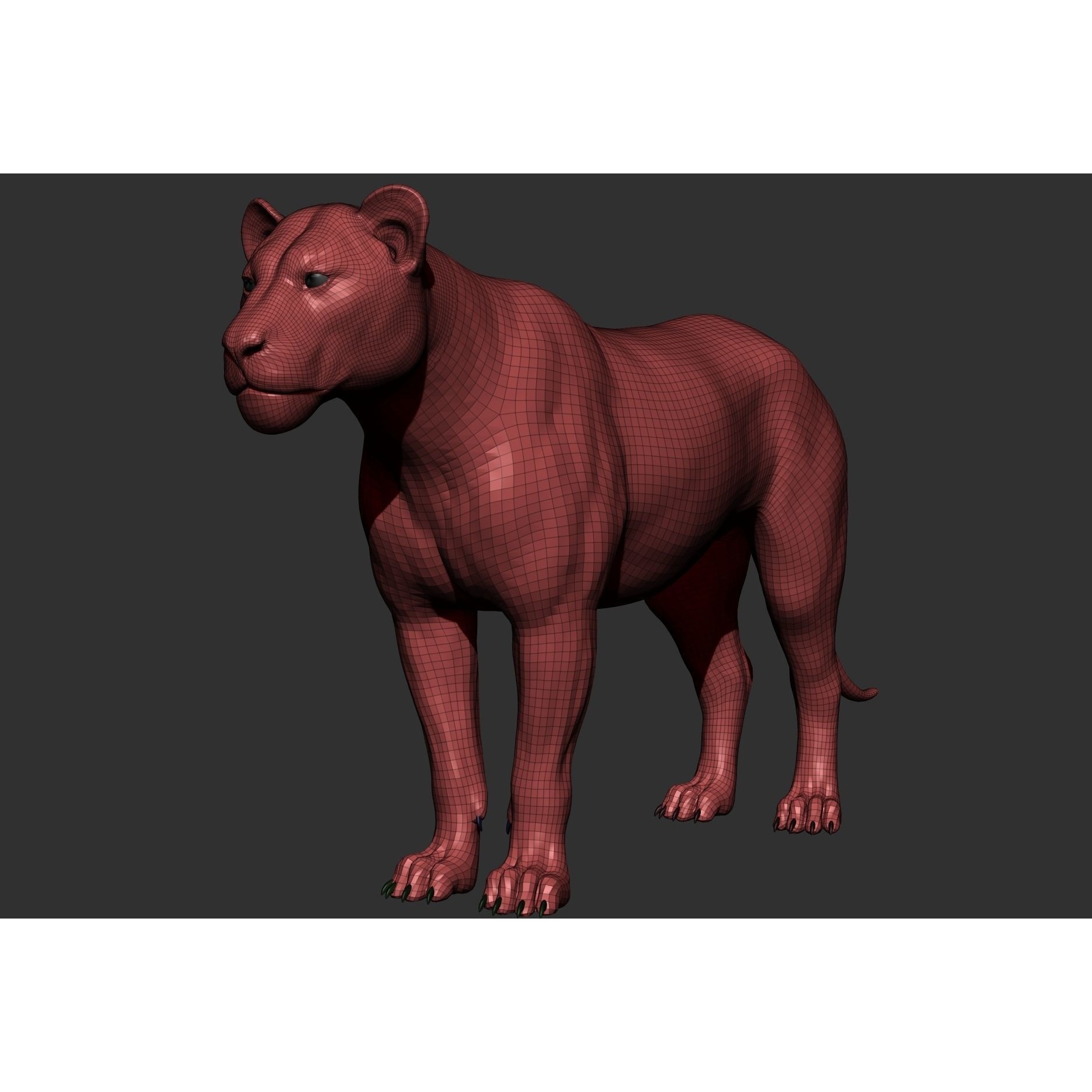 Wild Animal Collection - Realistic 3D Model - View 49