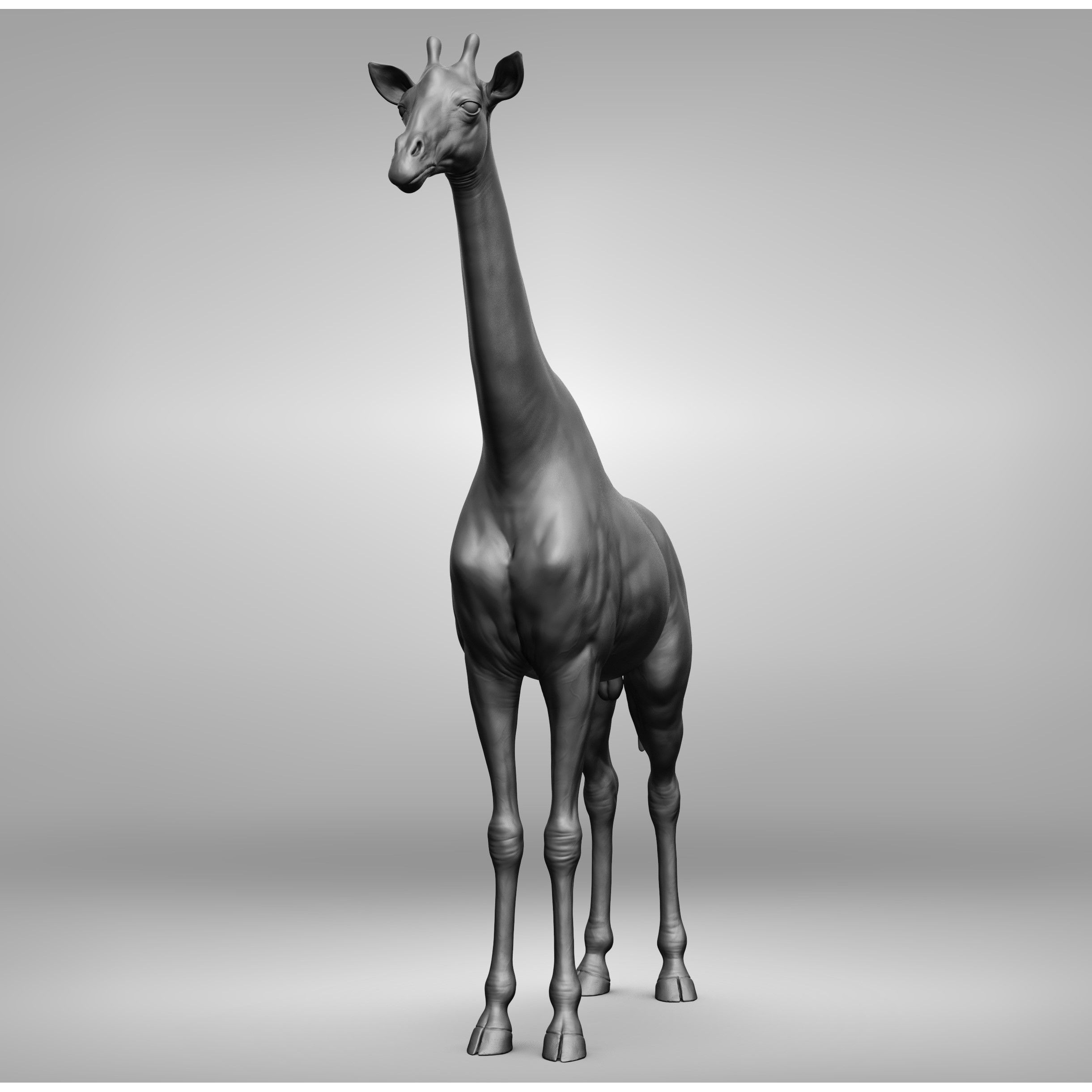 Wild Animal Collection - Realistic 3D Model - View 50