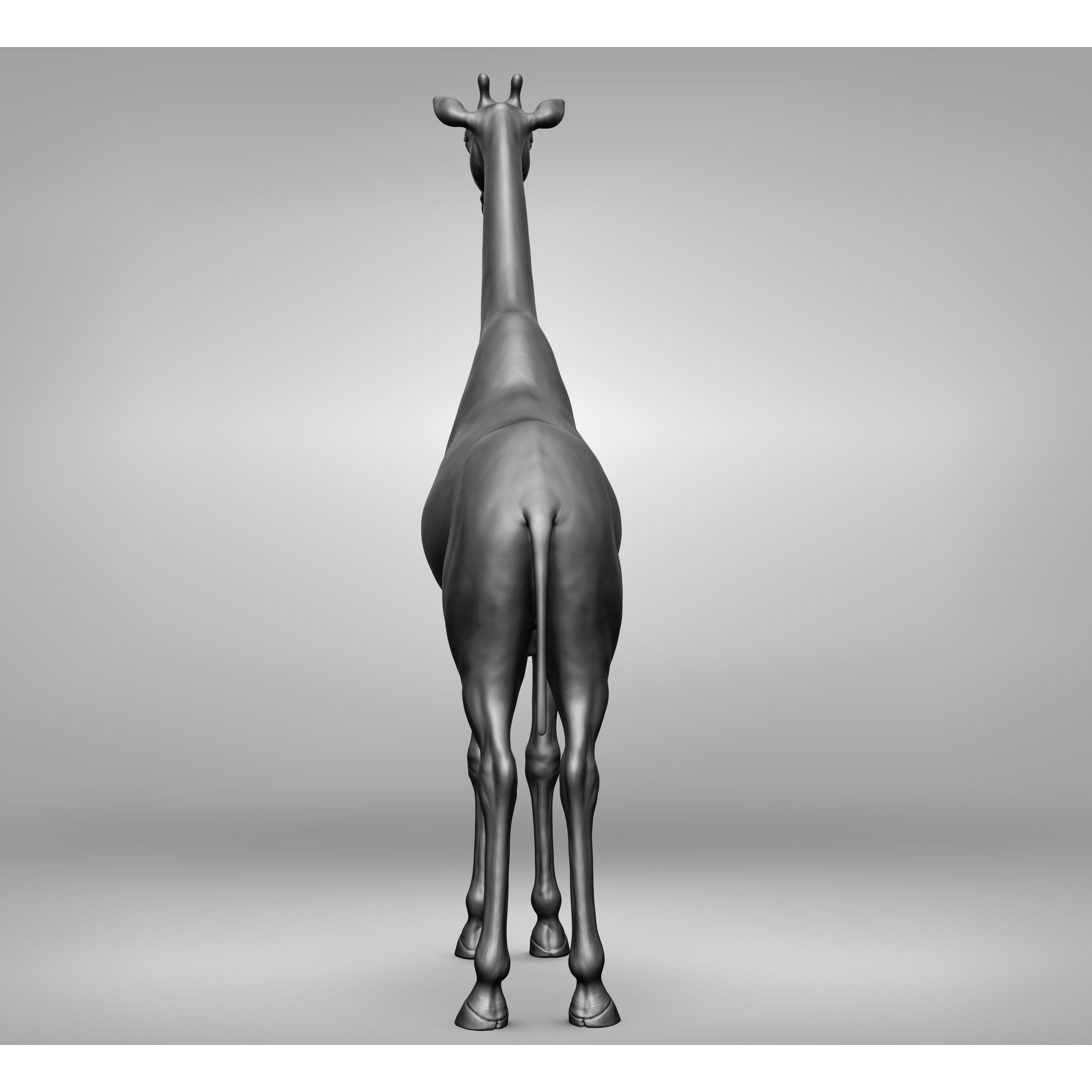 Wild Animal Collection - Realistic 3D Model - View 54