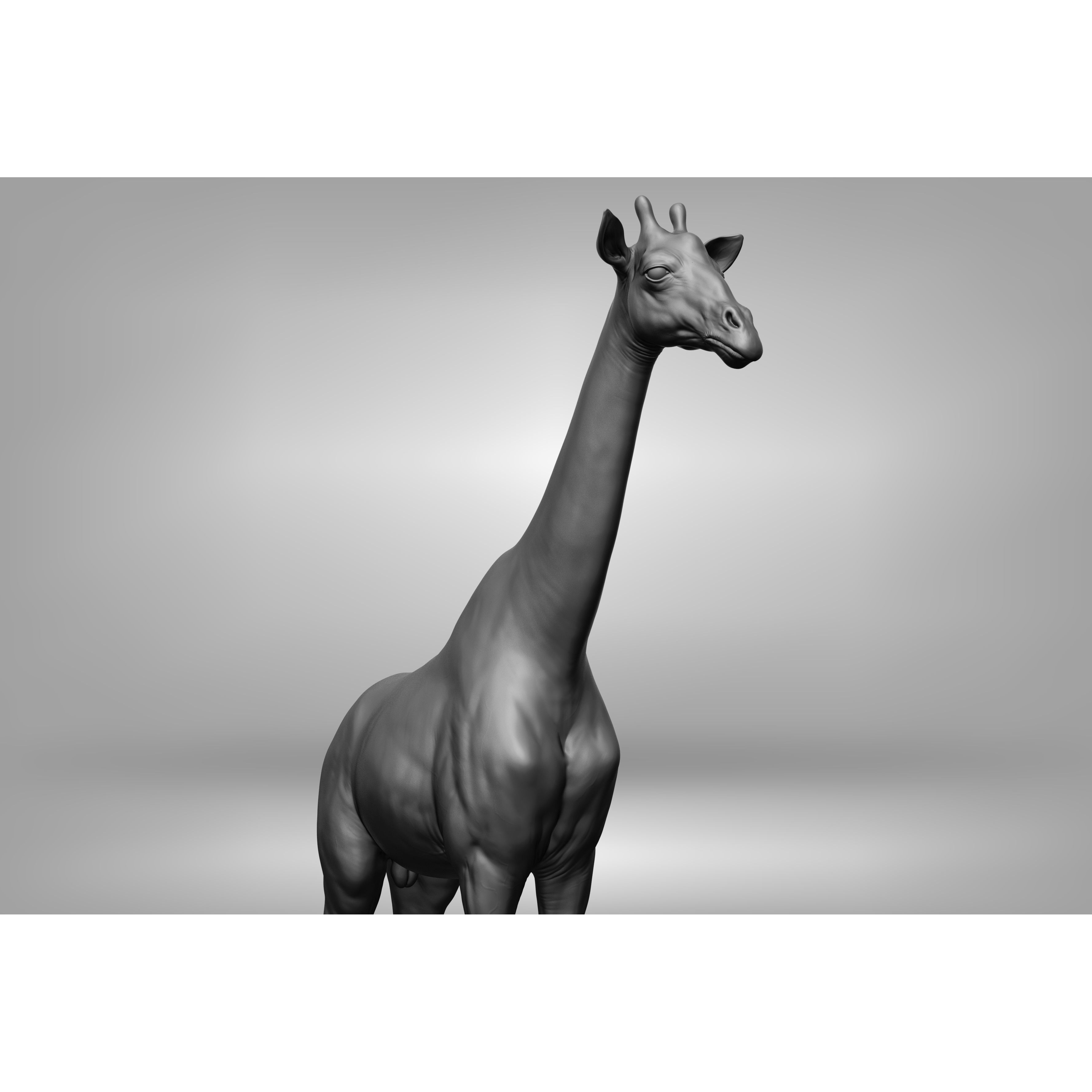 Wild Animal Collection - Realistic 3D Model - View 56