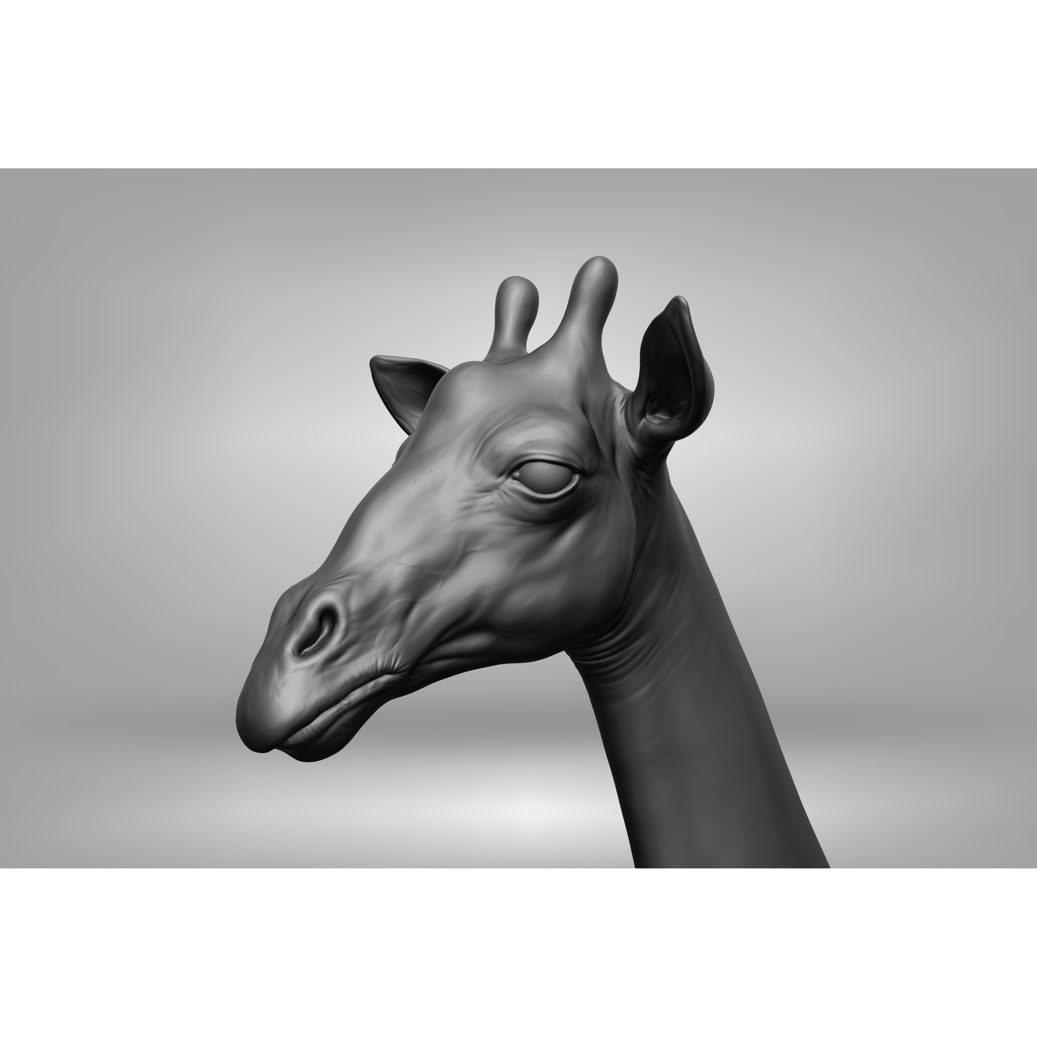 Wild Animal Collection - Realistic 3D Model - View 58