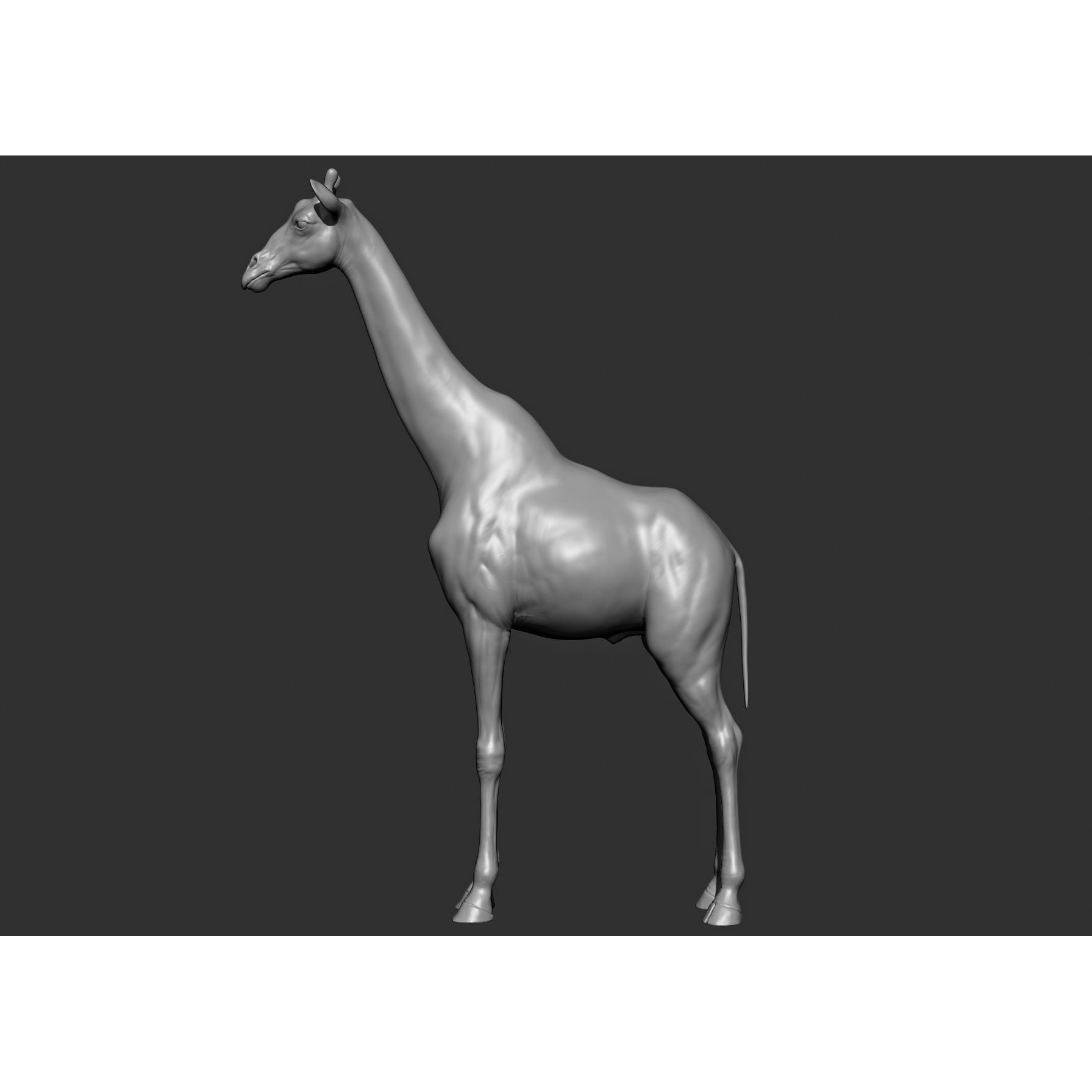 Wild Animal Collection - Realistic 3D Model - View 61