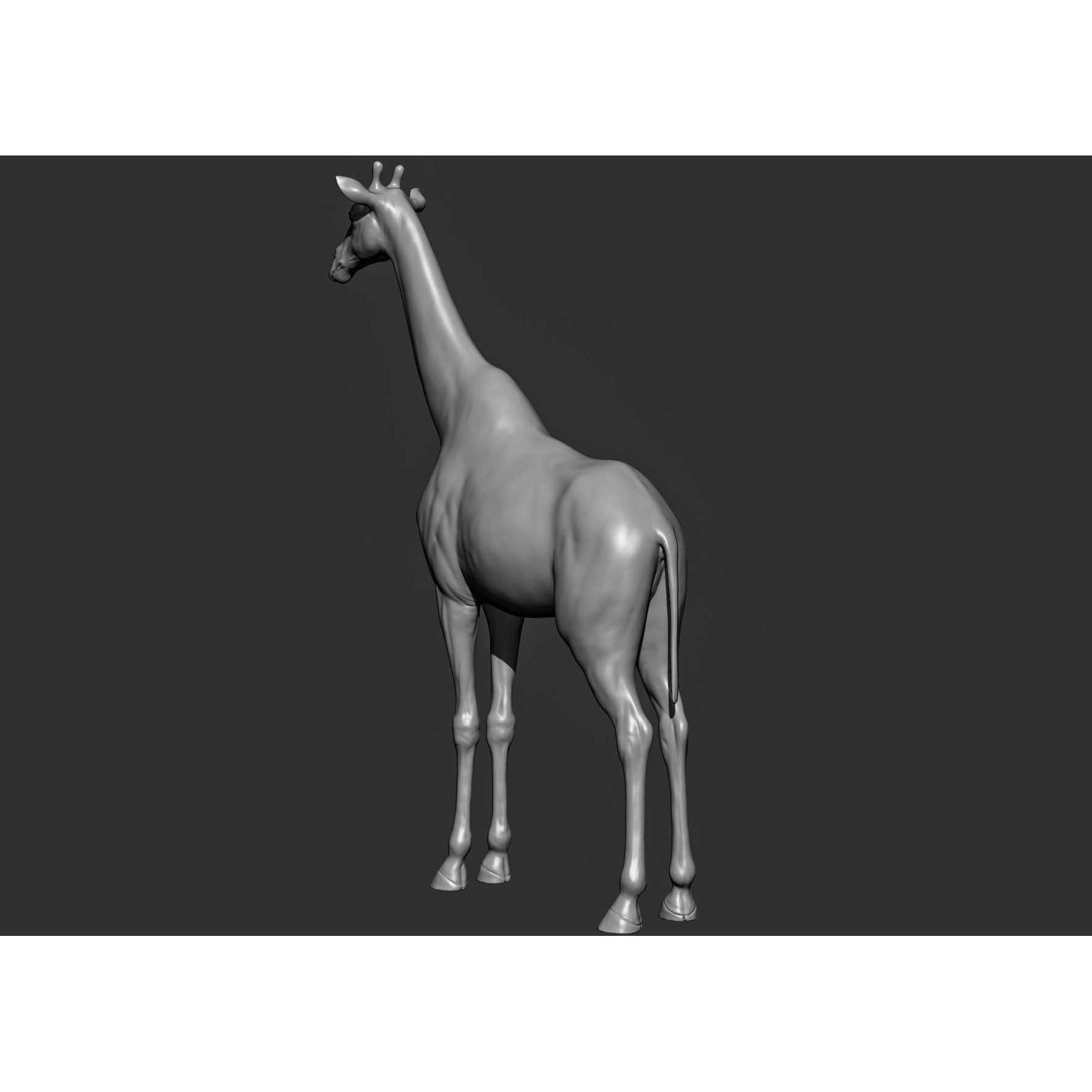 Wild Animal Collection - Realistic 3D Model - View 62