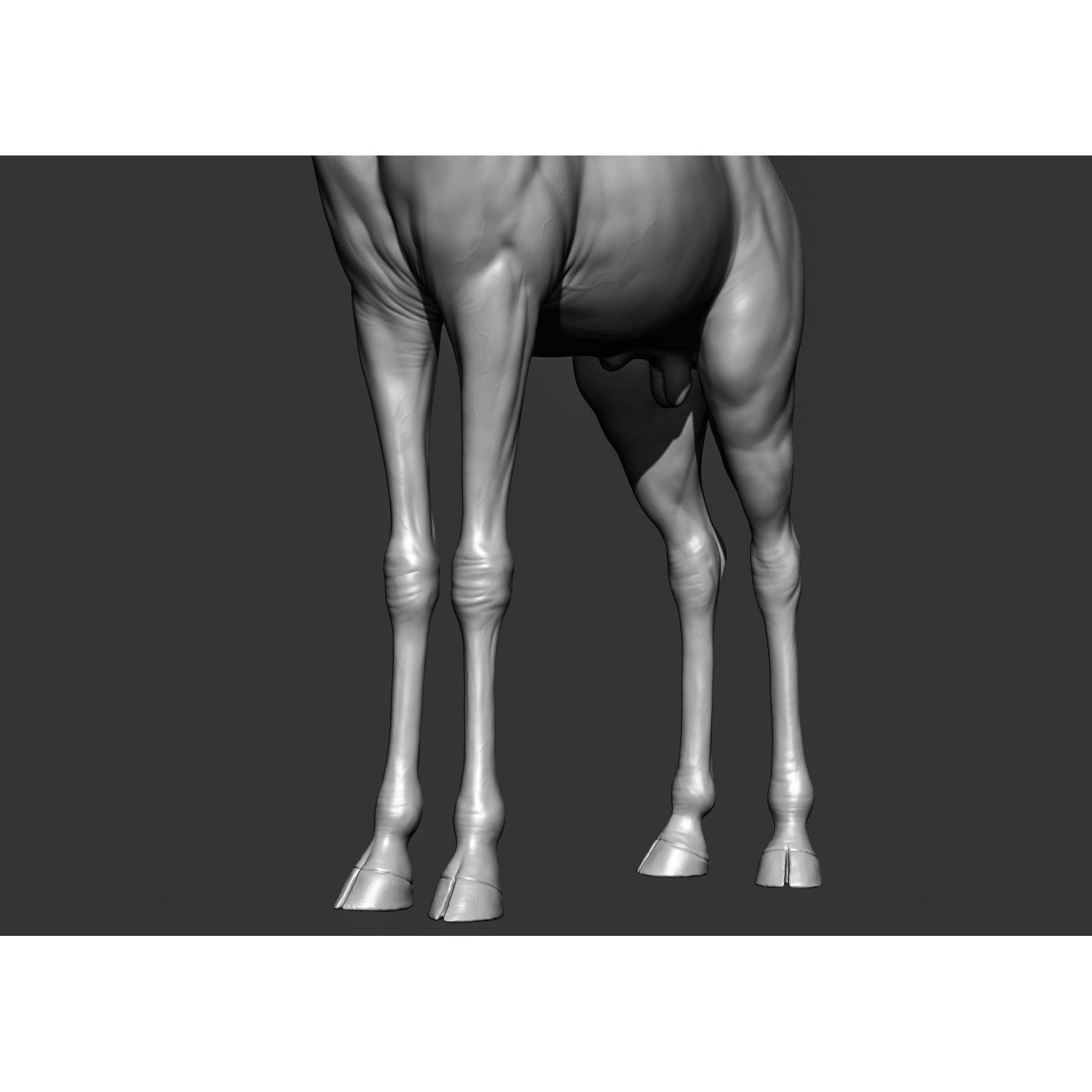 Wild Animal Collection - Realistic 3D Model - View 72