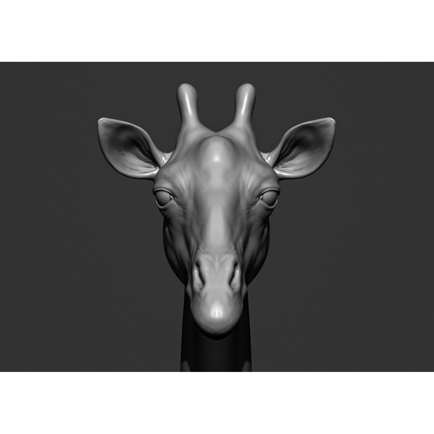 Wild Animal Collection - Realistic 3D Model - View 73