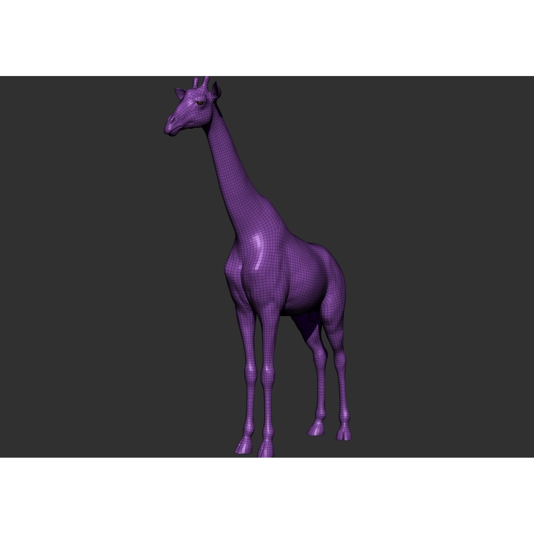 Wild Animal Collection - Realistic 3D Model - View 74