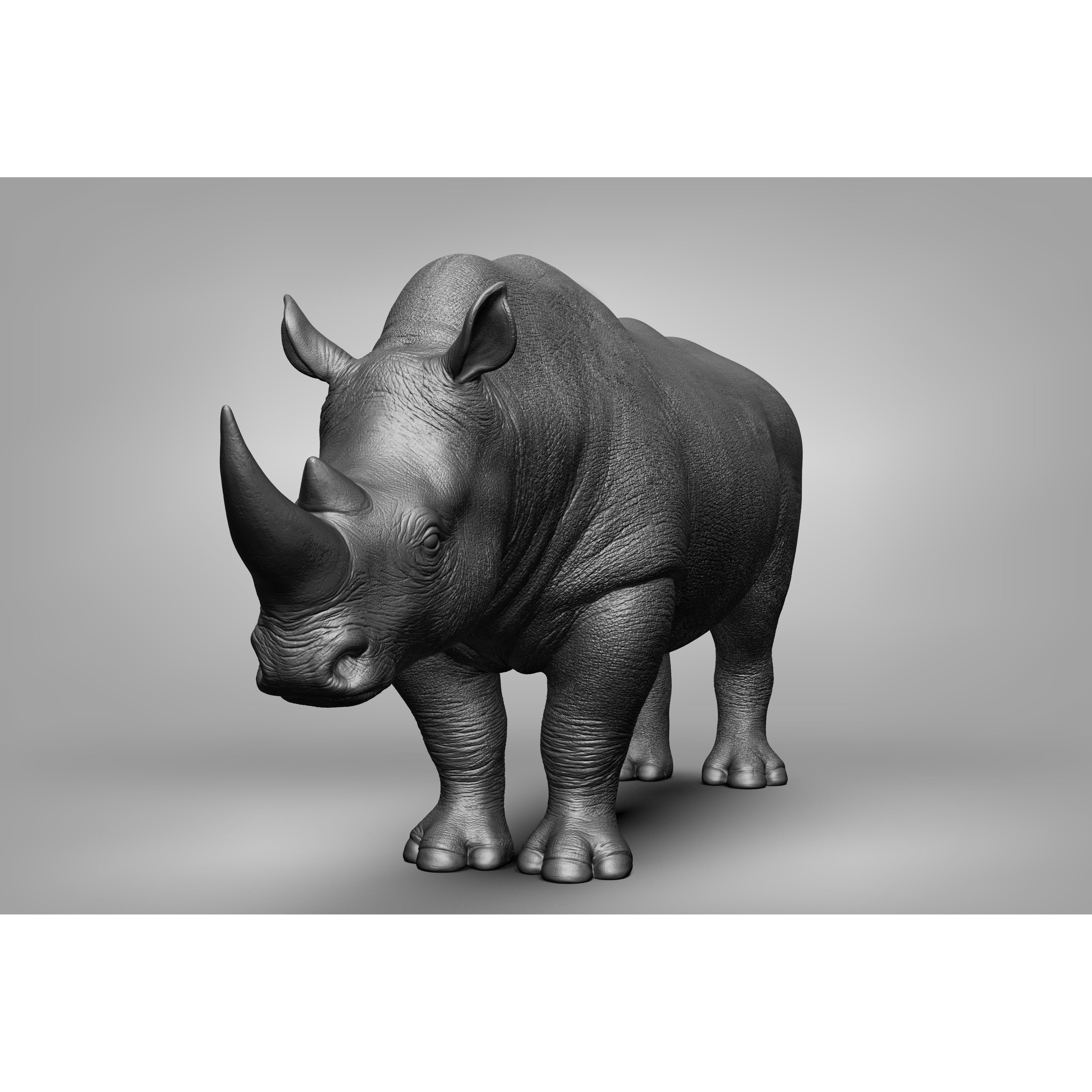 Wild Animal Collection - Realistic 3D Model - View 75