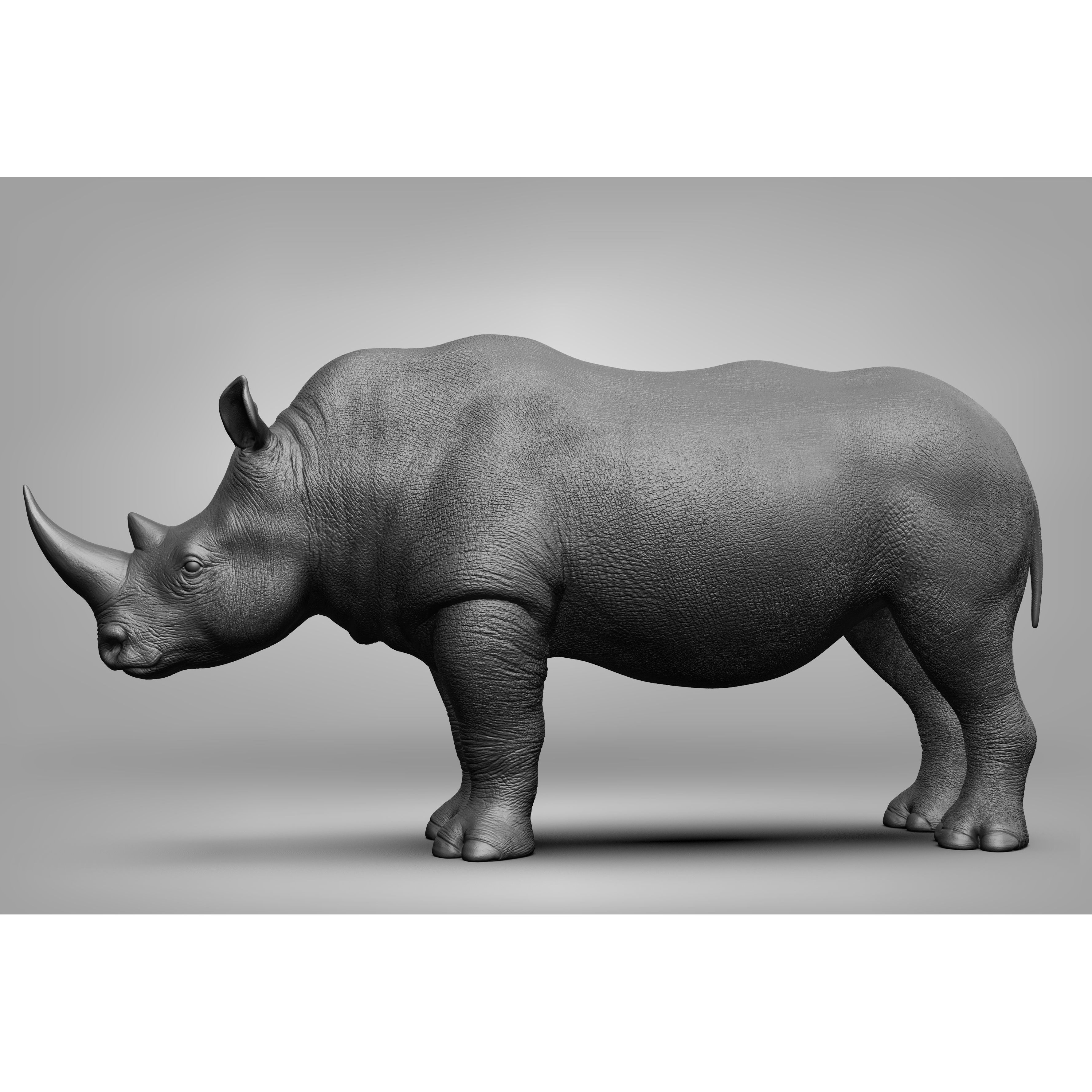 Wild Animal Collection - Realistic 3D Model - View 76