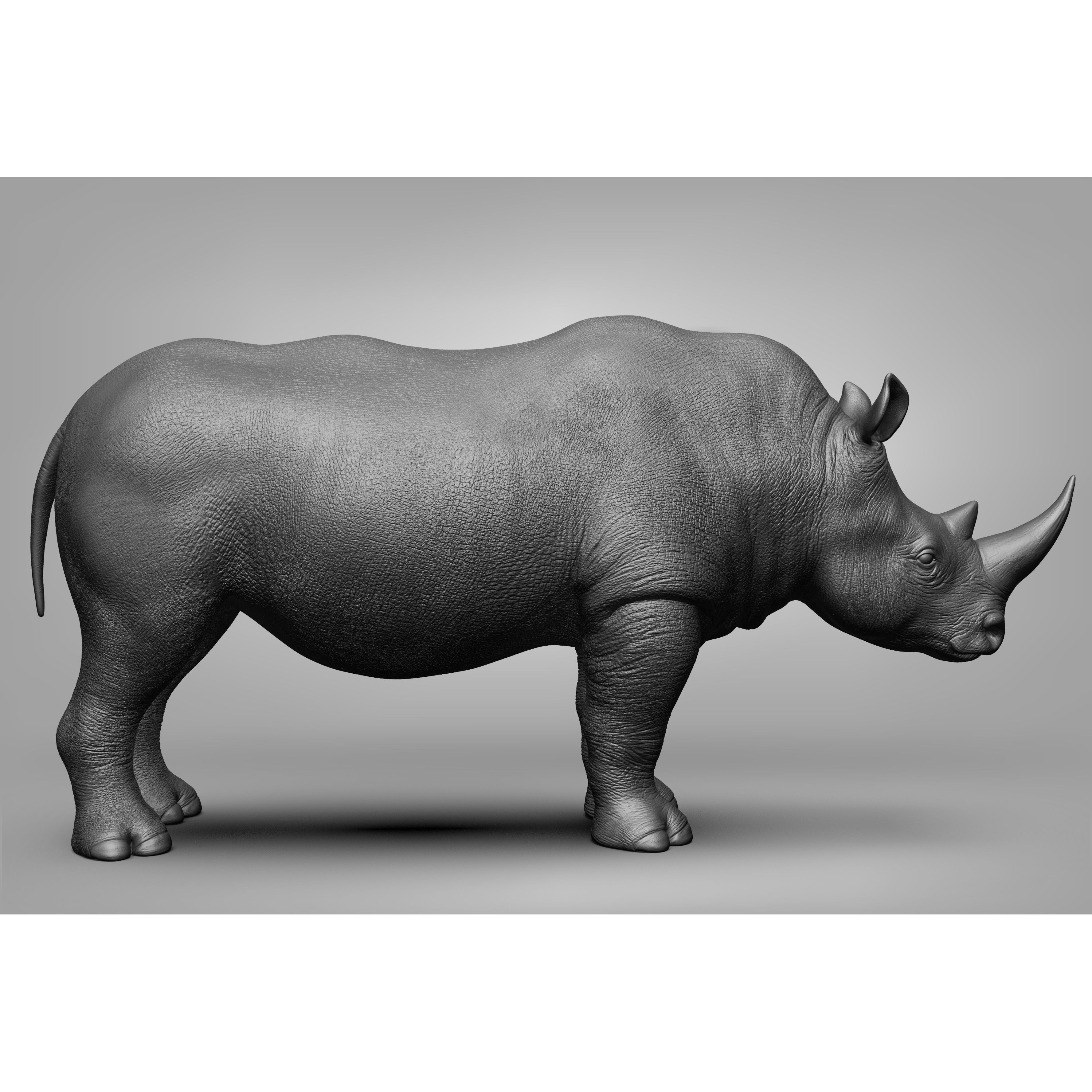 Wild Animal Collection - Realistic 3D Model - View 77