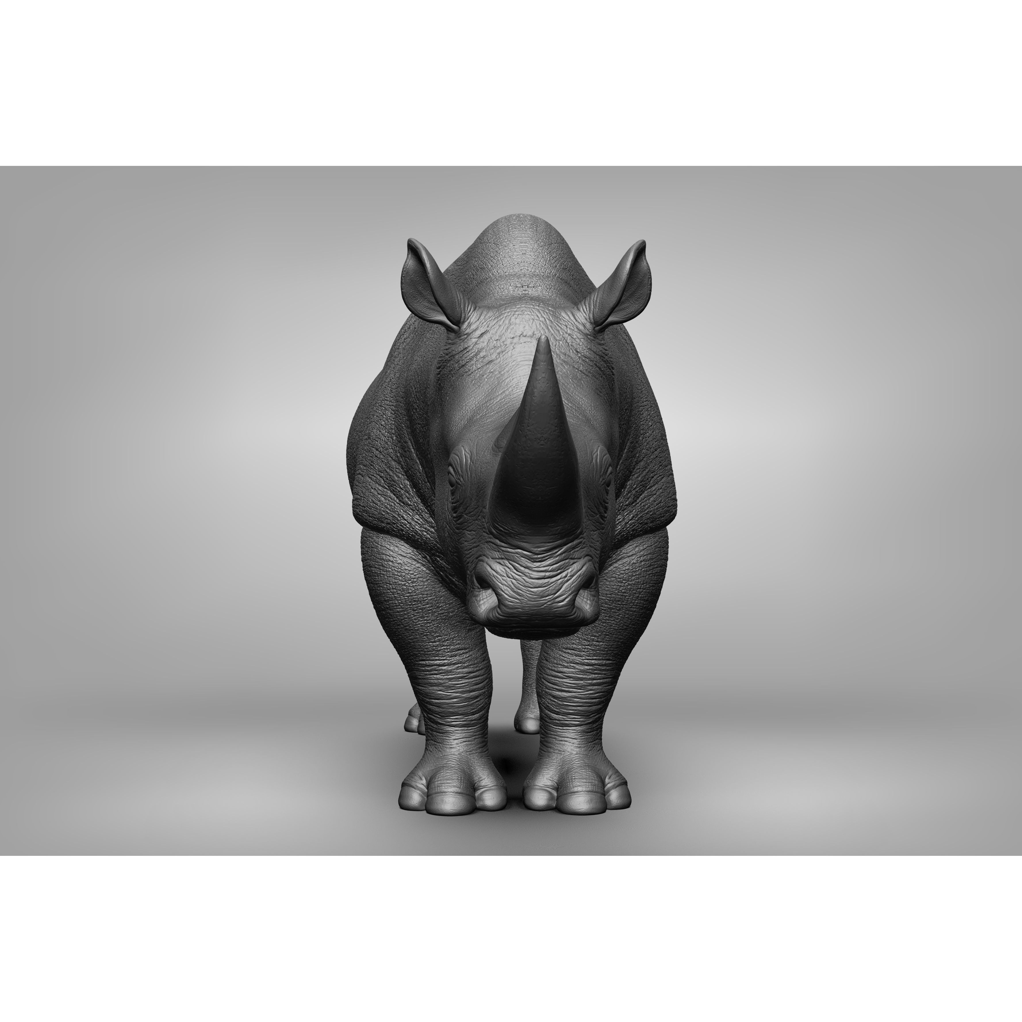 Wild Animal Collection - Realistic 3D Model - View 78