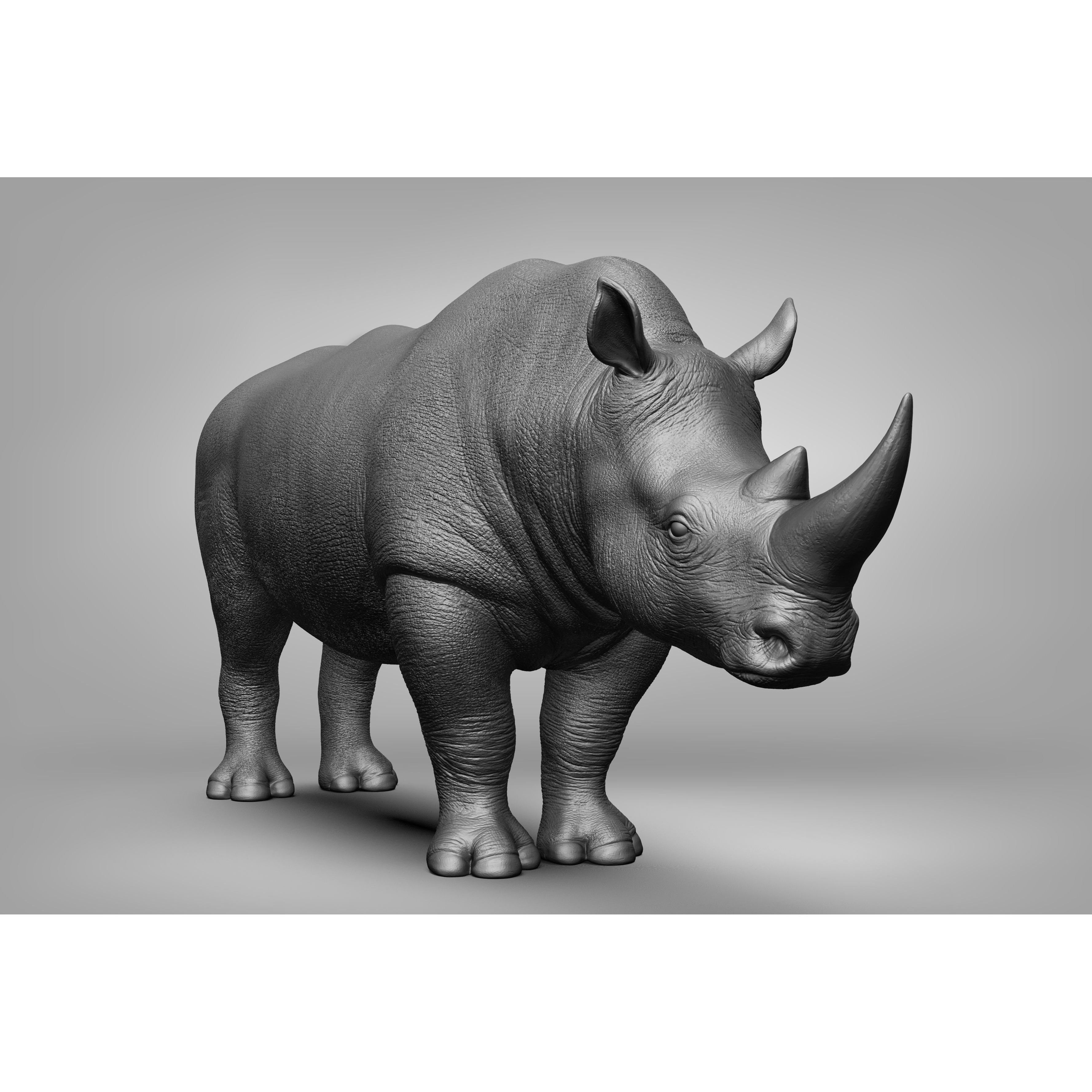 Wild Animal Collection - Realistic 3D Model - View 79