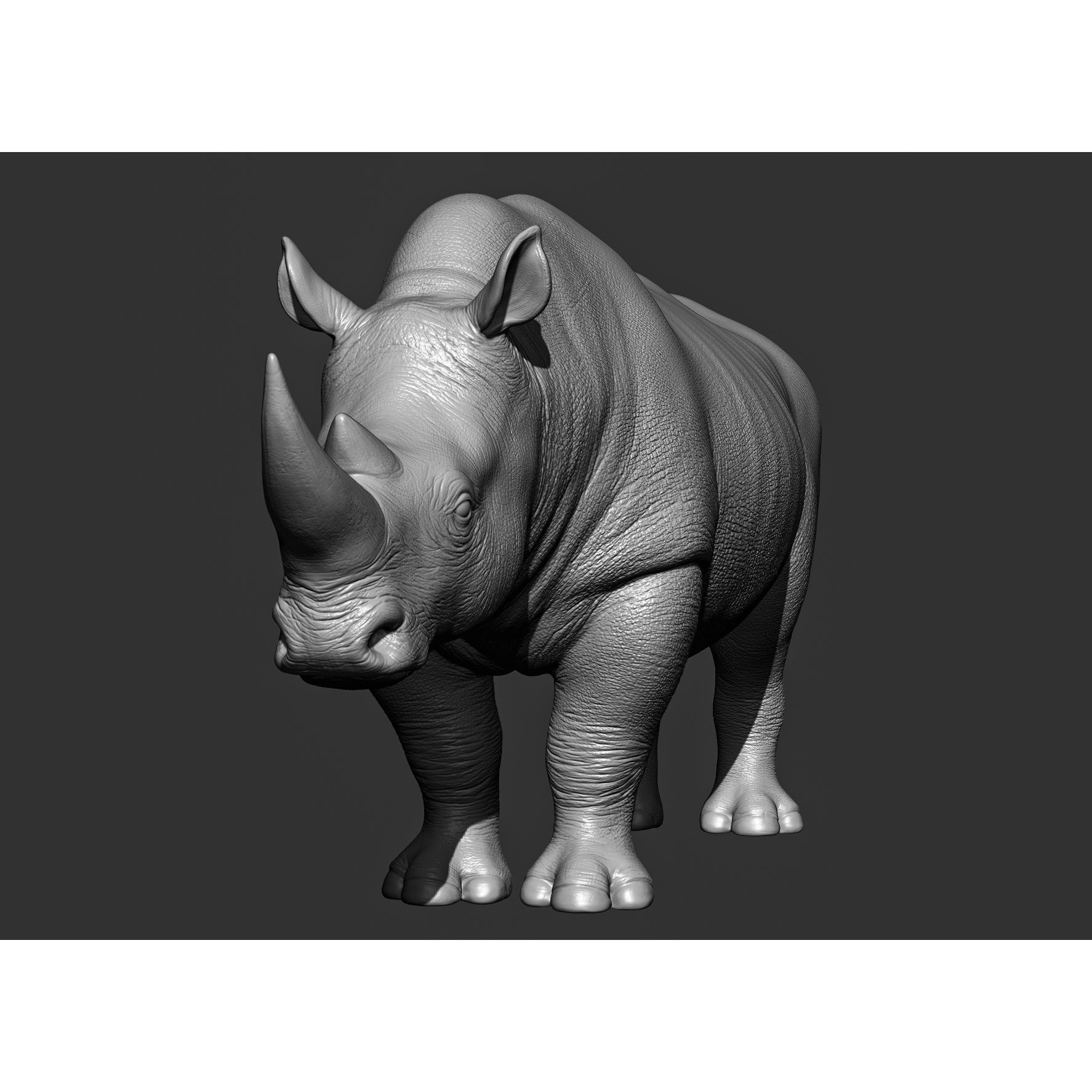 Wild Animal Collection - Realistic 3D Model - View 80