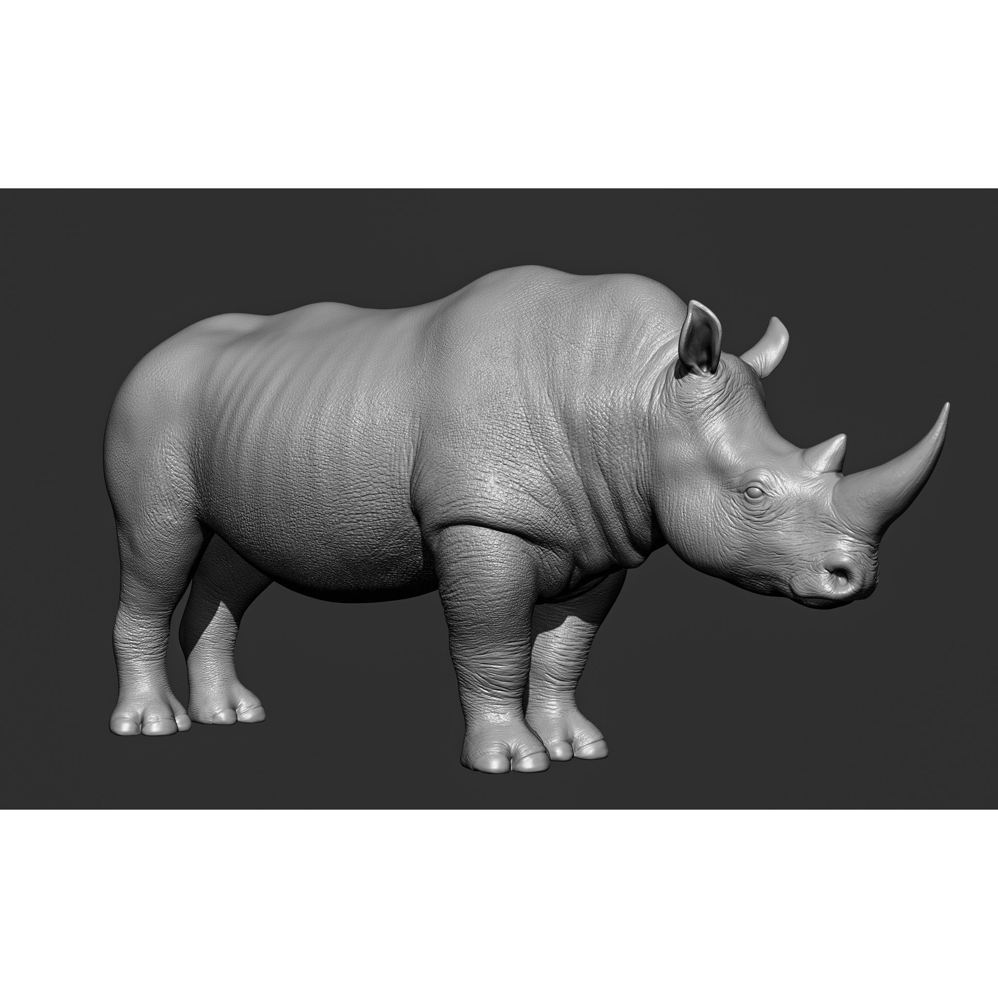 Wild Animal Collection - Realistic 3D Model - View 82