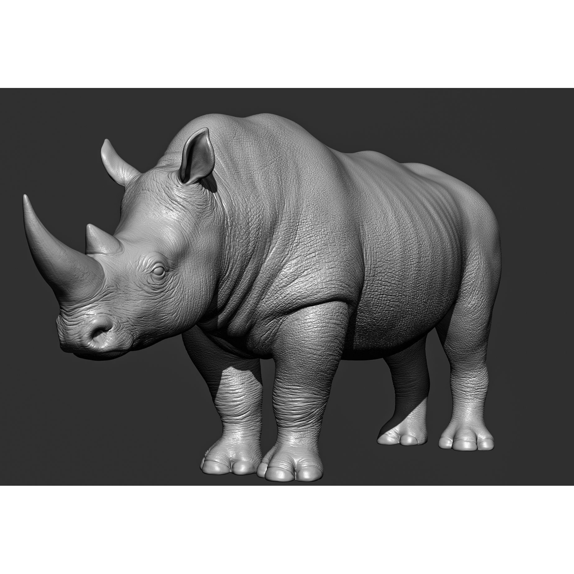 Wild Animal Collection - Realistic 3D Model - View 83