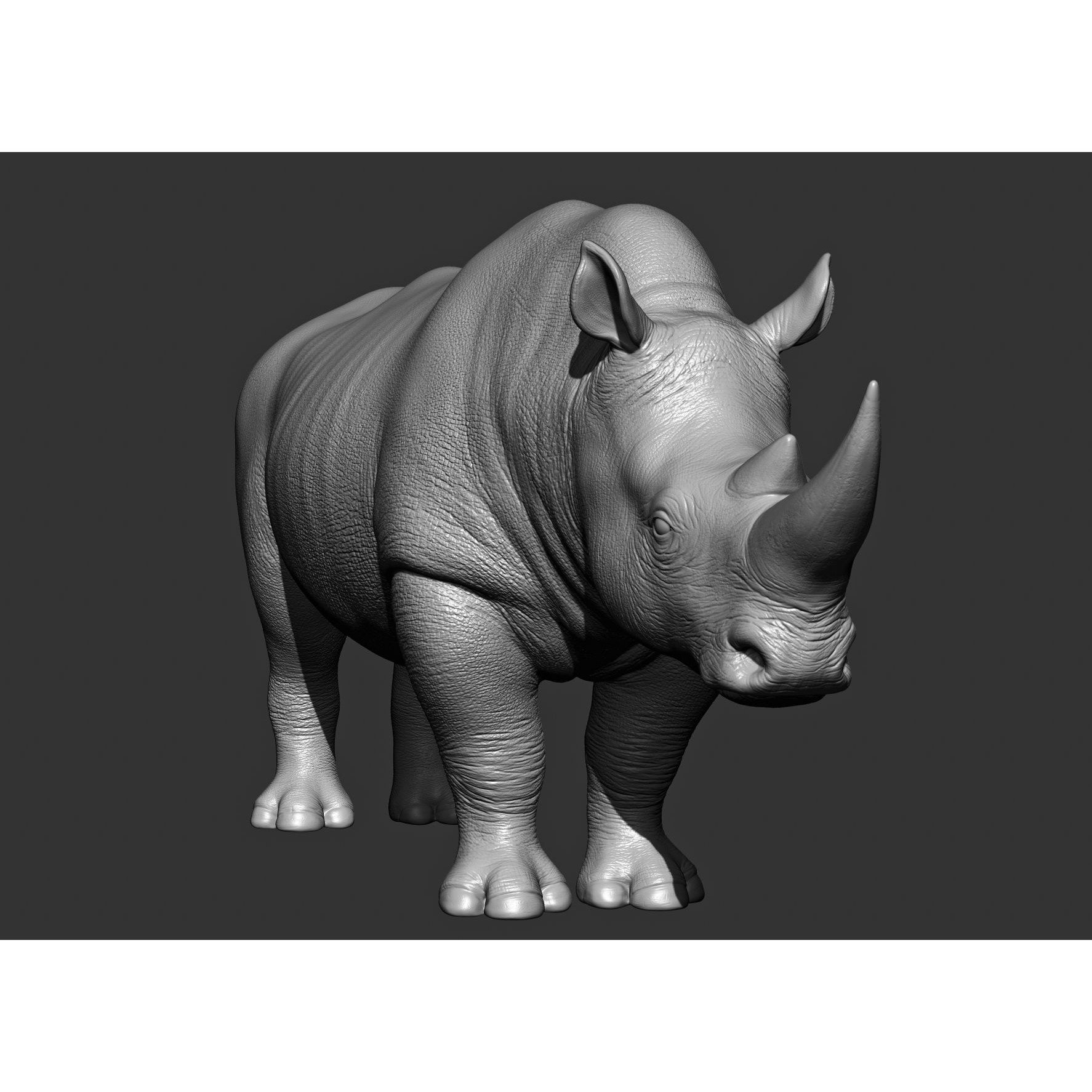 Wild Animal Collection - Realistic 3D Model - View 84