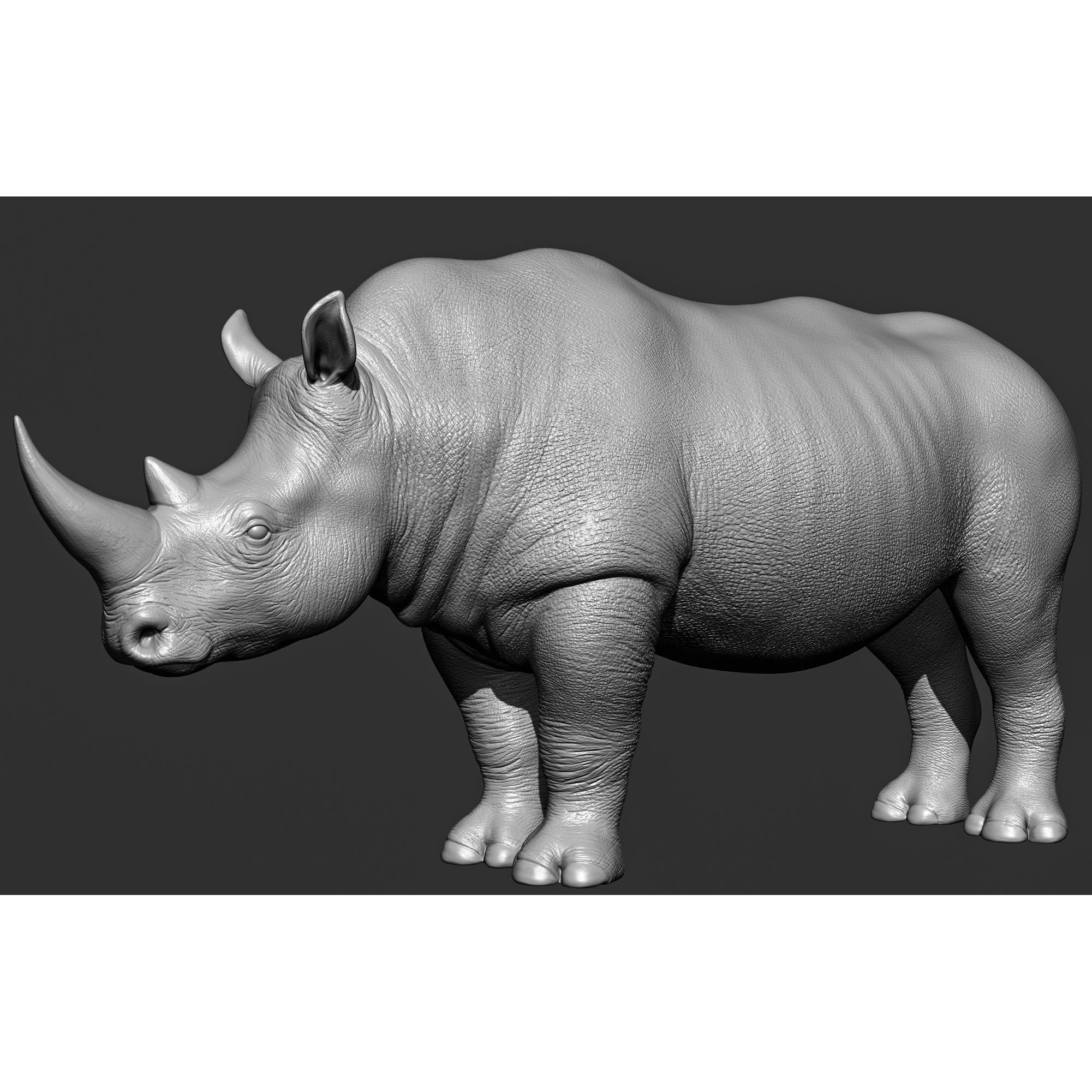 Wild Animal Collection - Realistic 3D Model - View 85