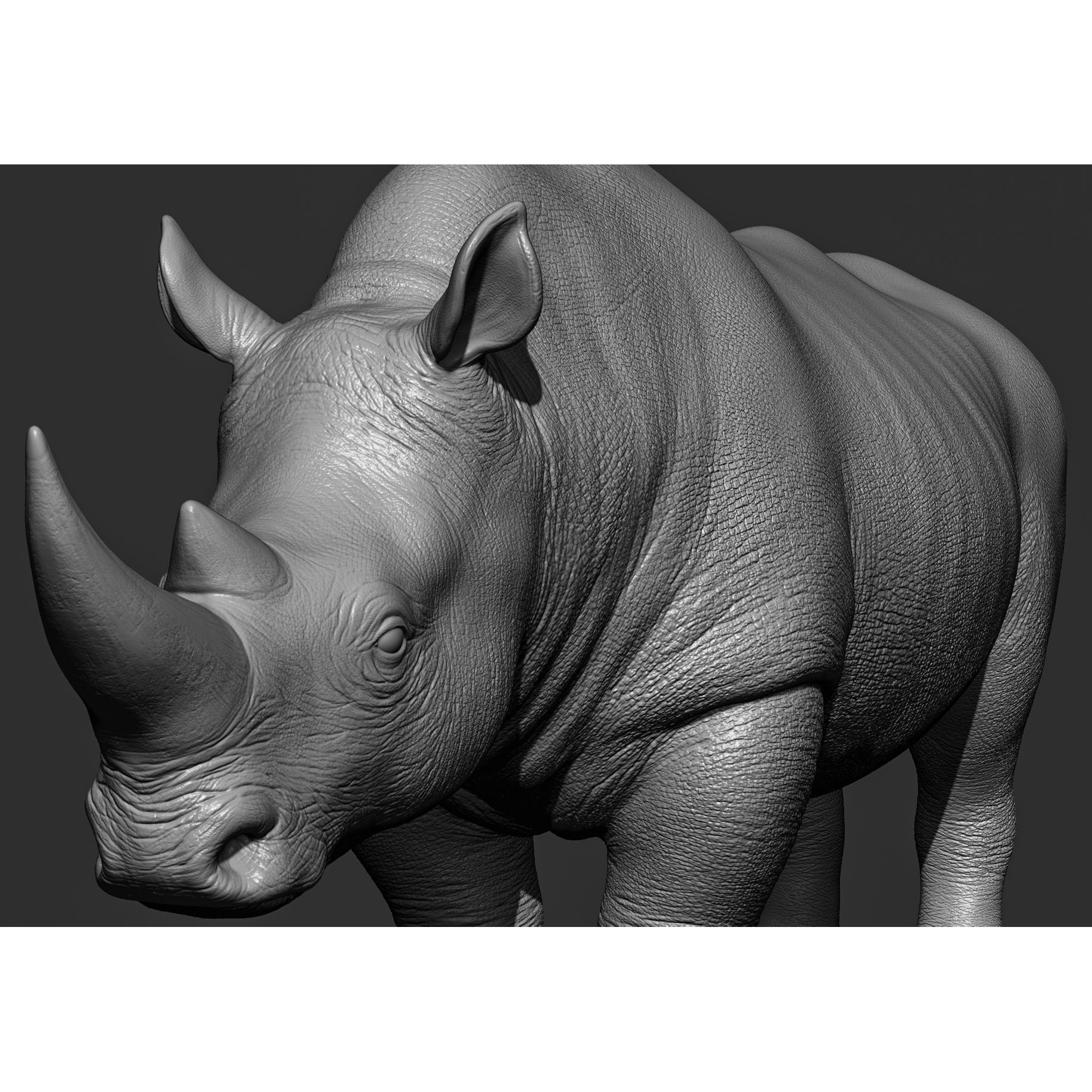 Wild Animal Collection - Realistic 3D Model - View 86