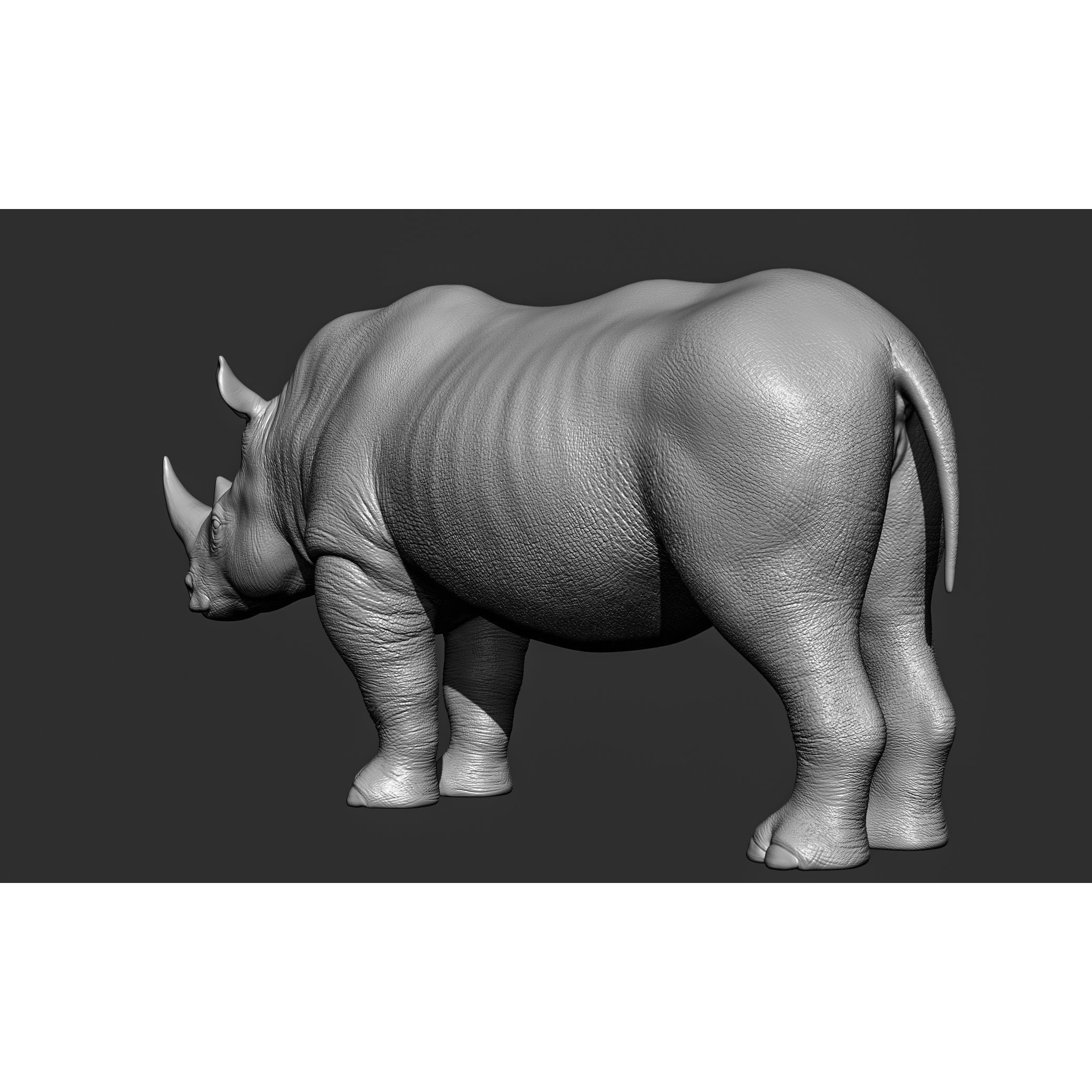 Wild Animal Collection - Realistic 3D Model - View 87
