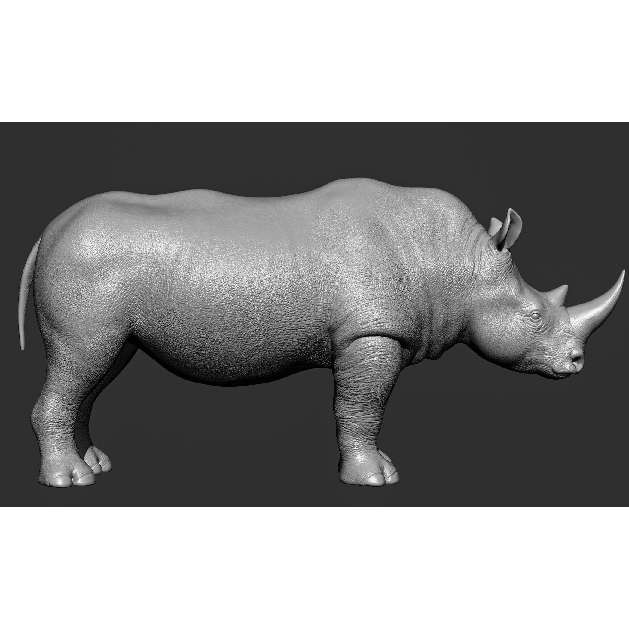 Wild Animal Collection - Realistic 3D Model - View 88