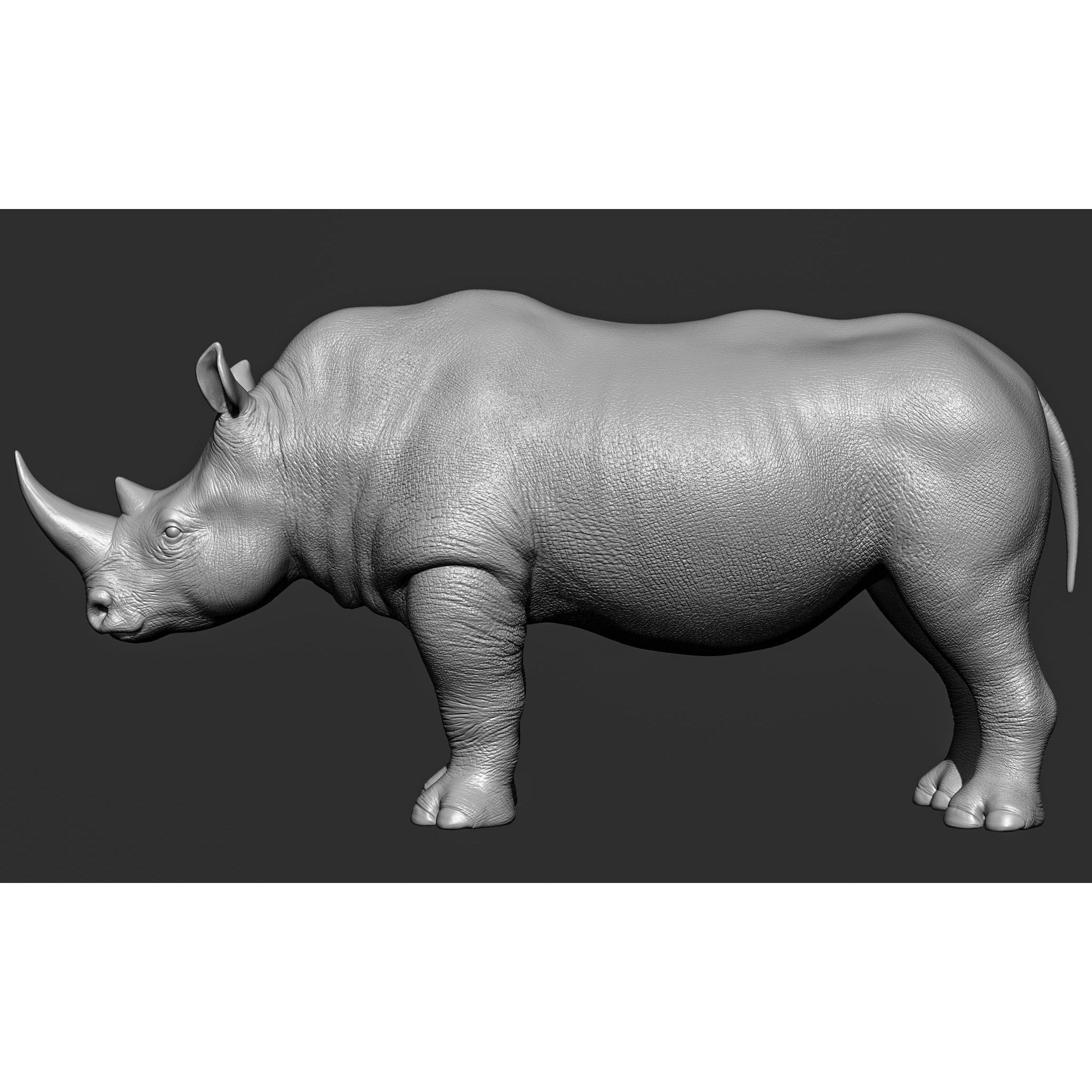 Wild Animal Collection - Realistic 3D Model - View 90