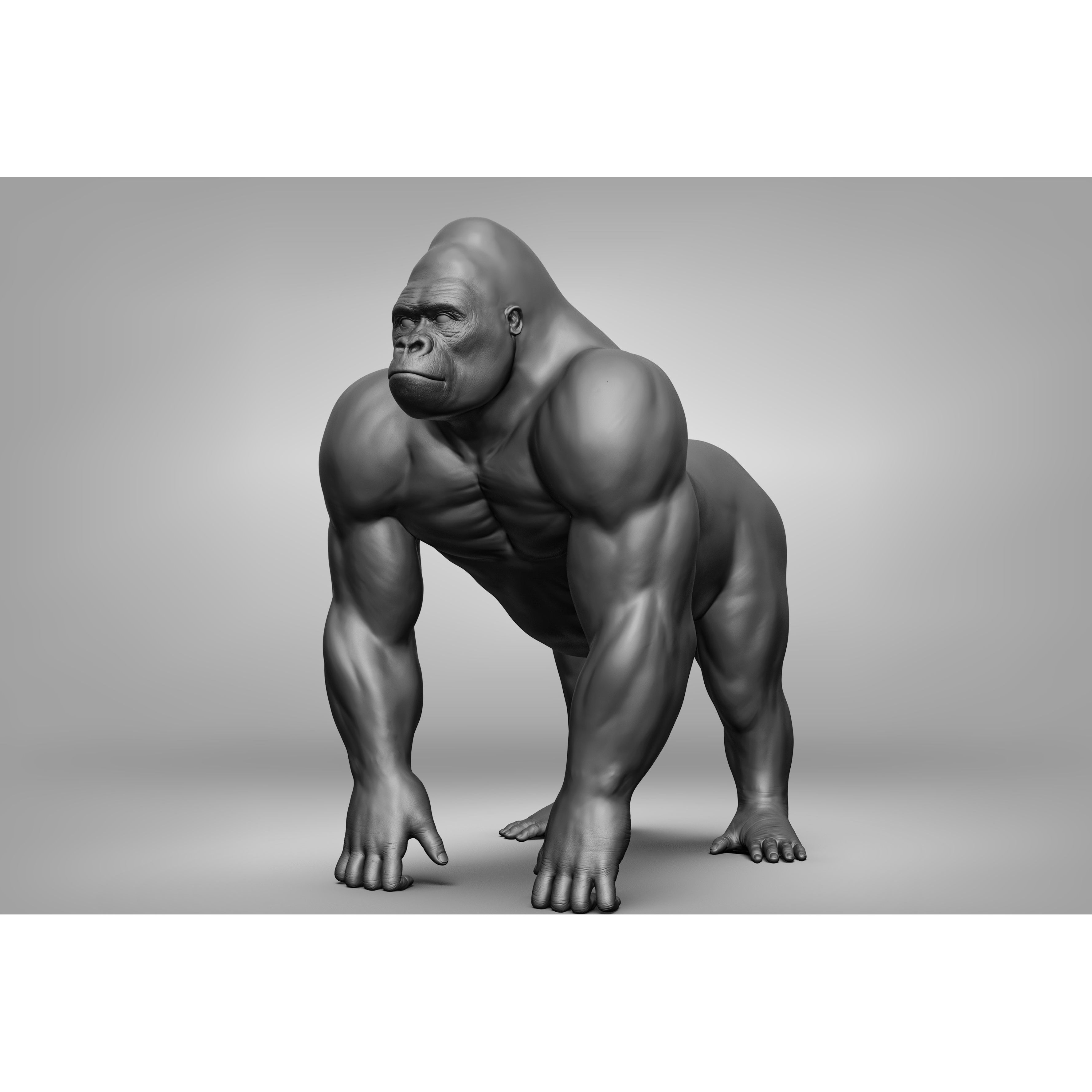 Wild Animal Collection - Realistic 3D Model - View 92