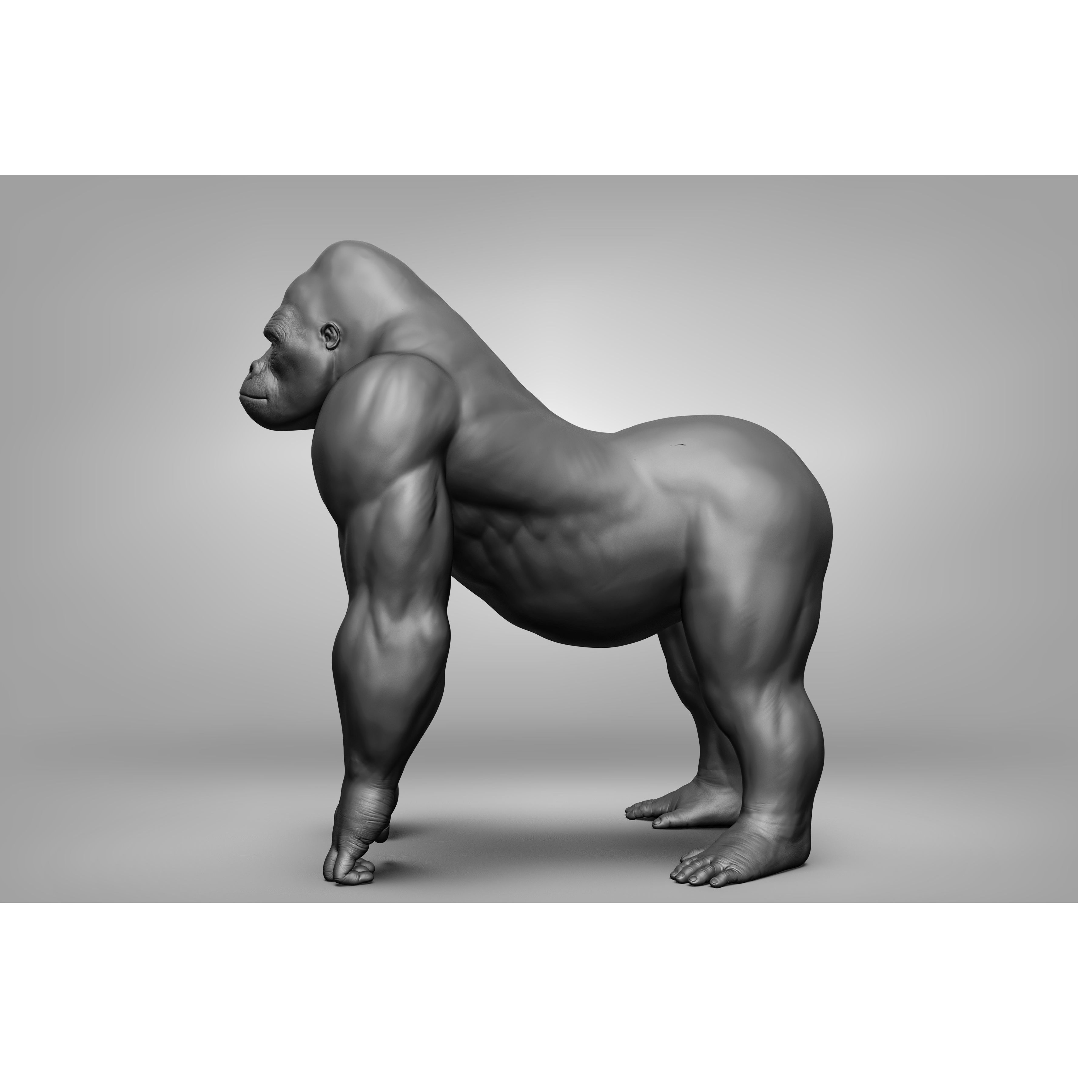 Wild Animal Collection - Realistic 3D Model - View 93