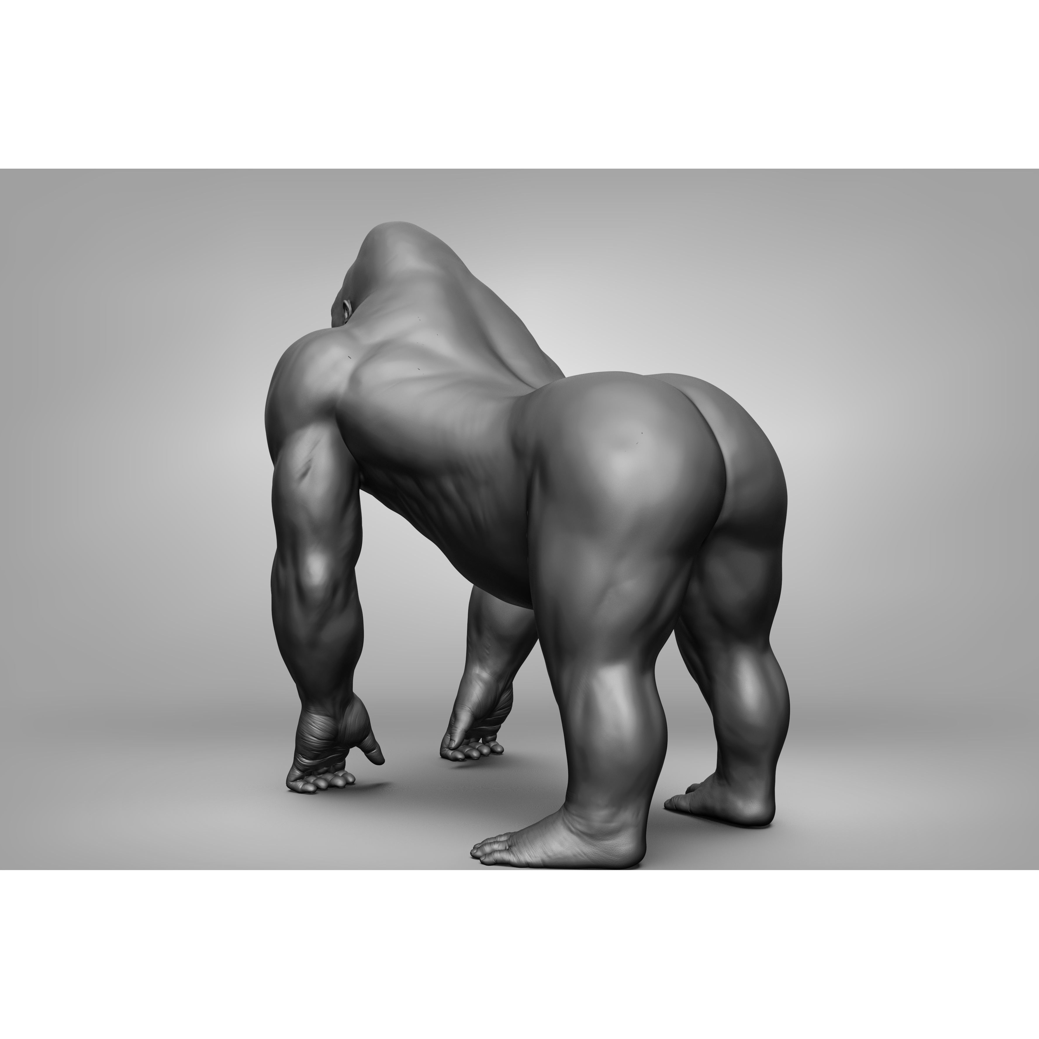 Wild Animal Collection - Realistic 3D Model - View 94