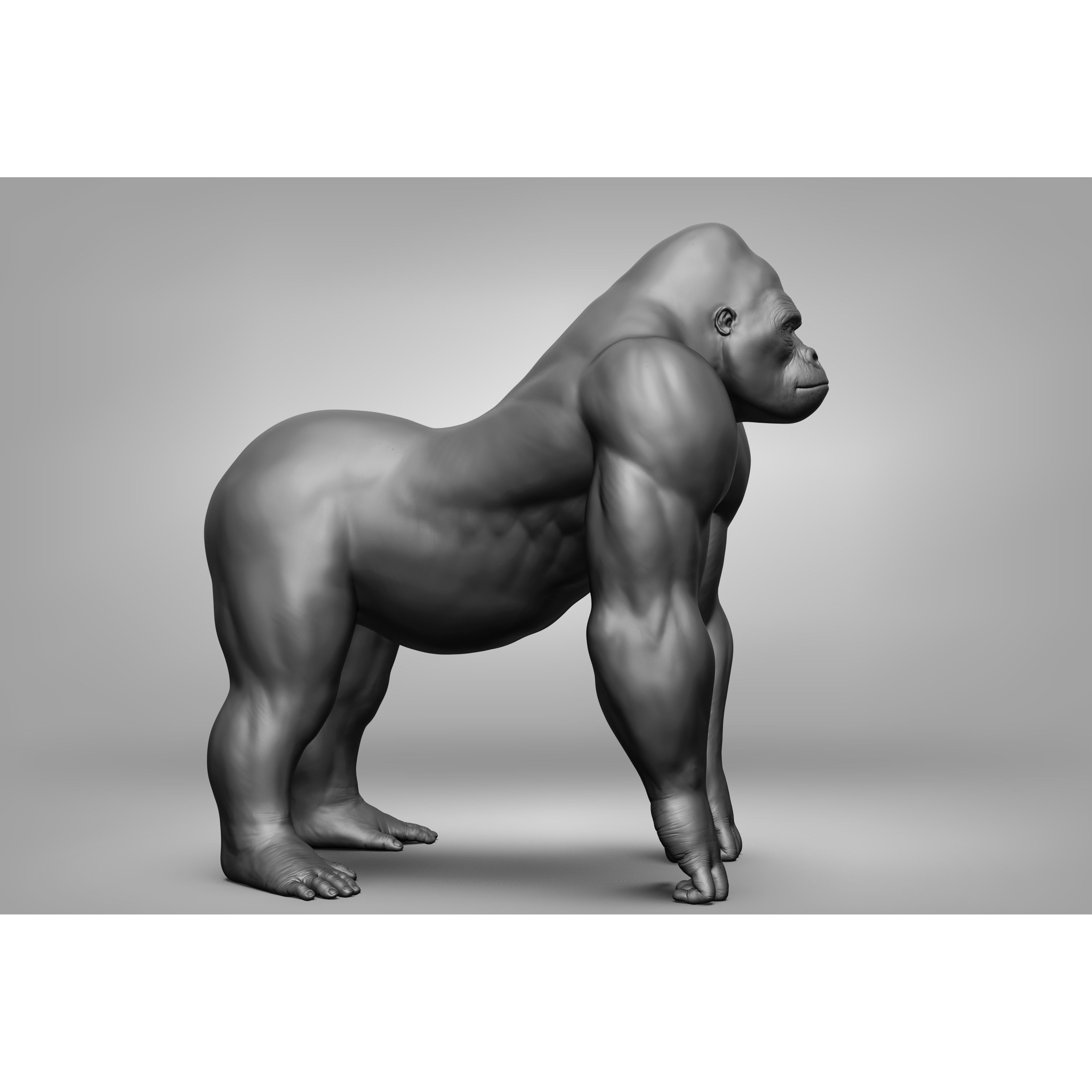 Wild Animal Collection - Realistic 3D Model - View 95