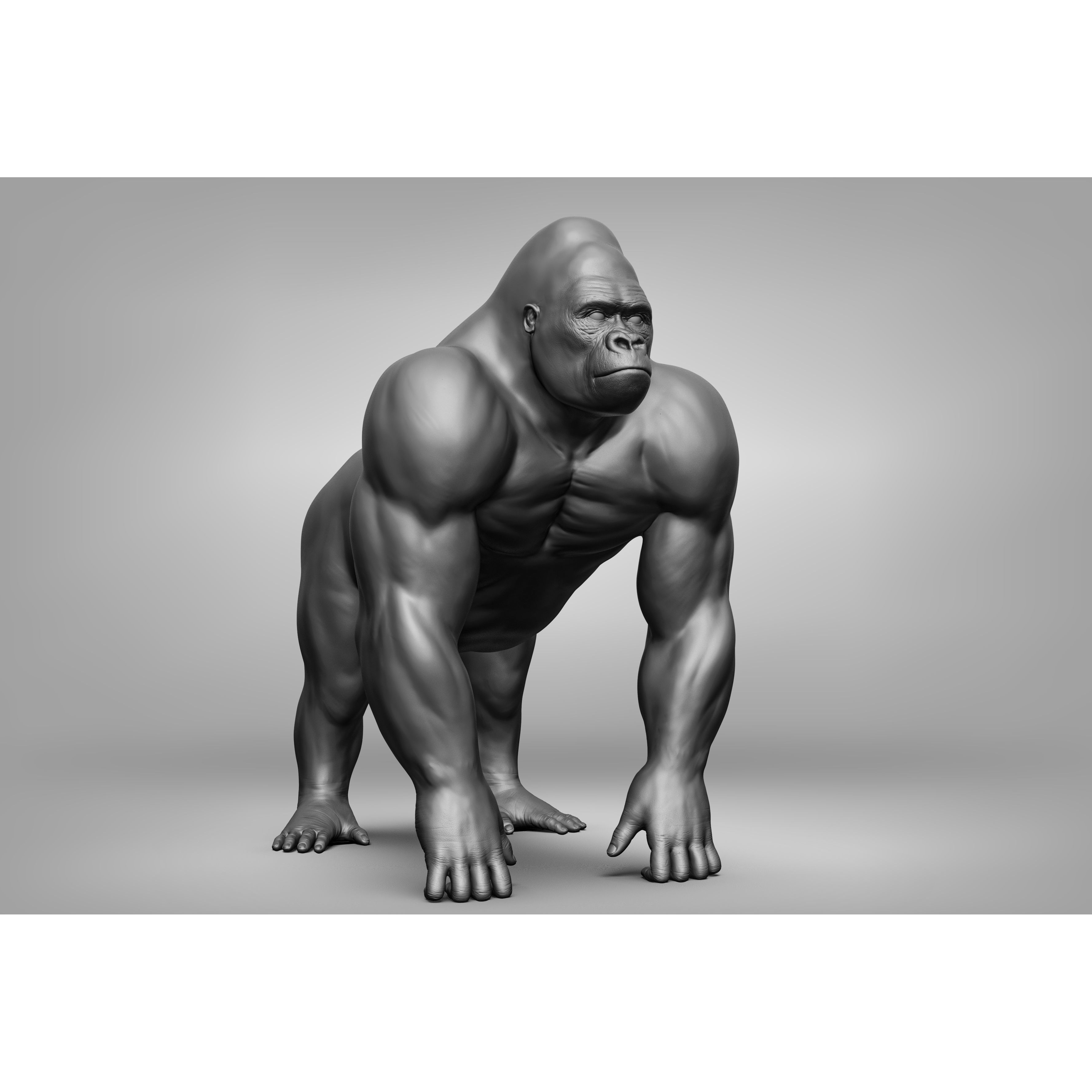 Wild Animal Collection - Realistic 3D Model - View 96