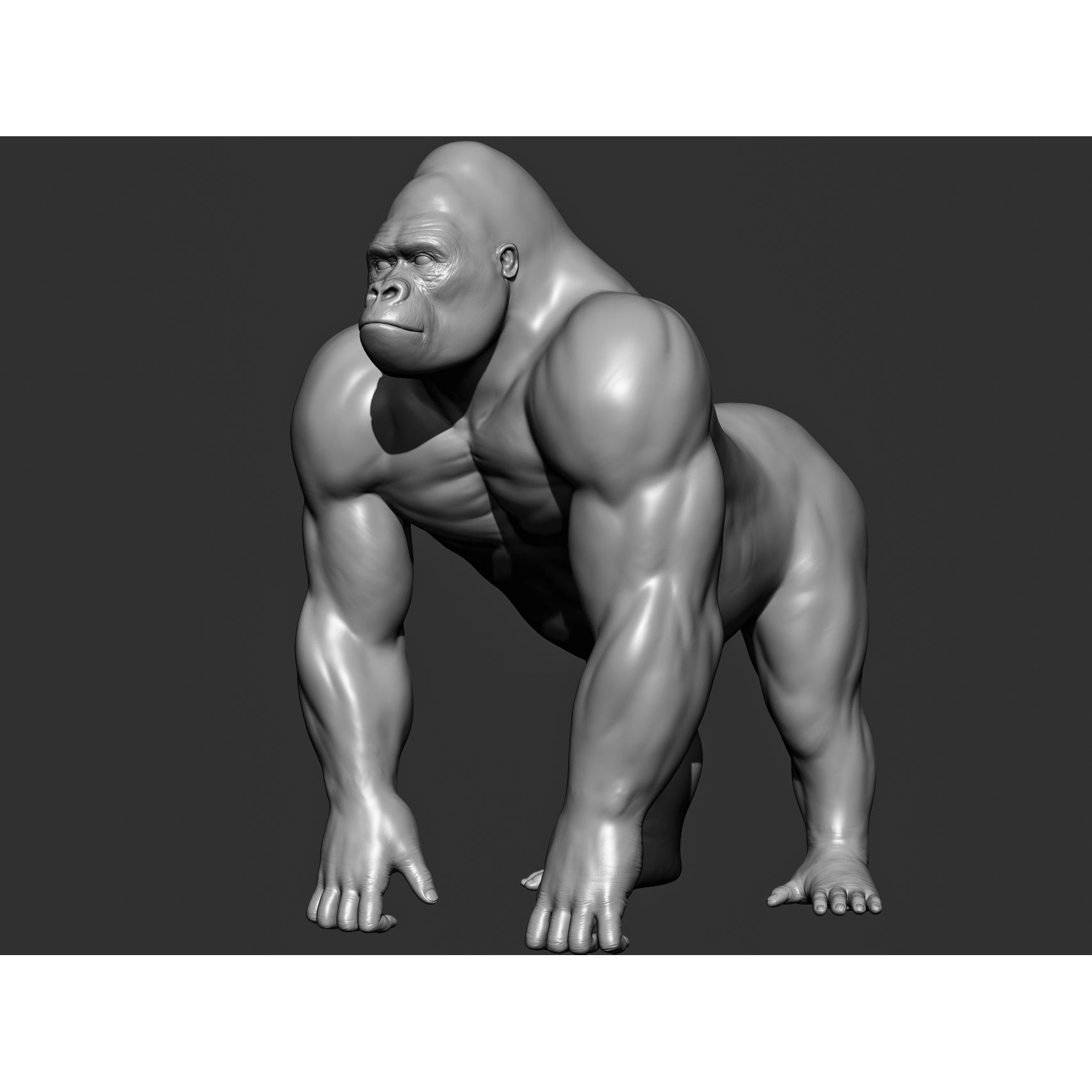 Wild Animal Collection - Realistic 3D Model - View 97