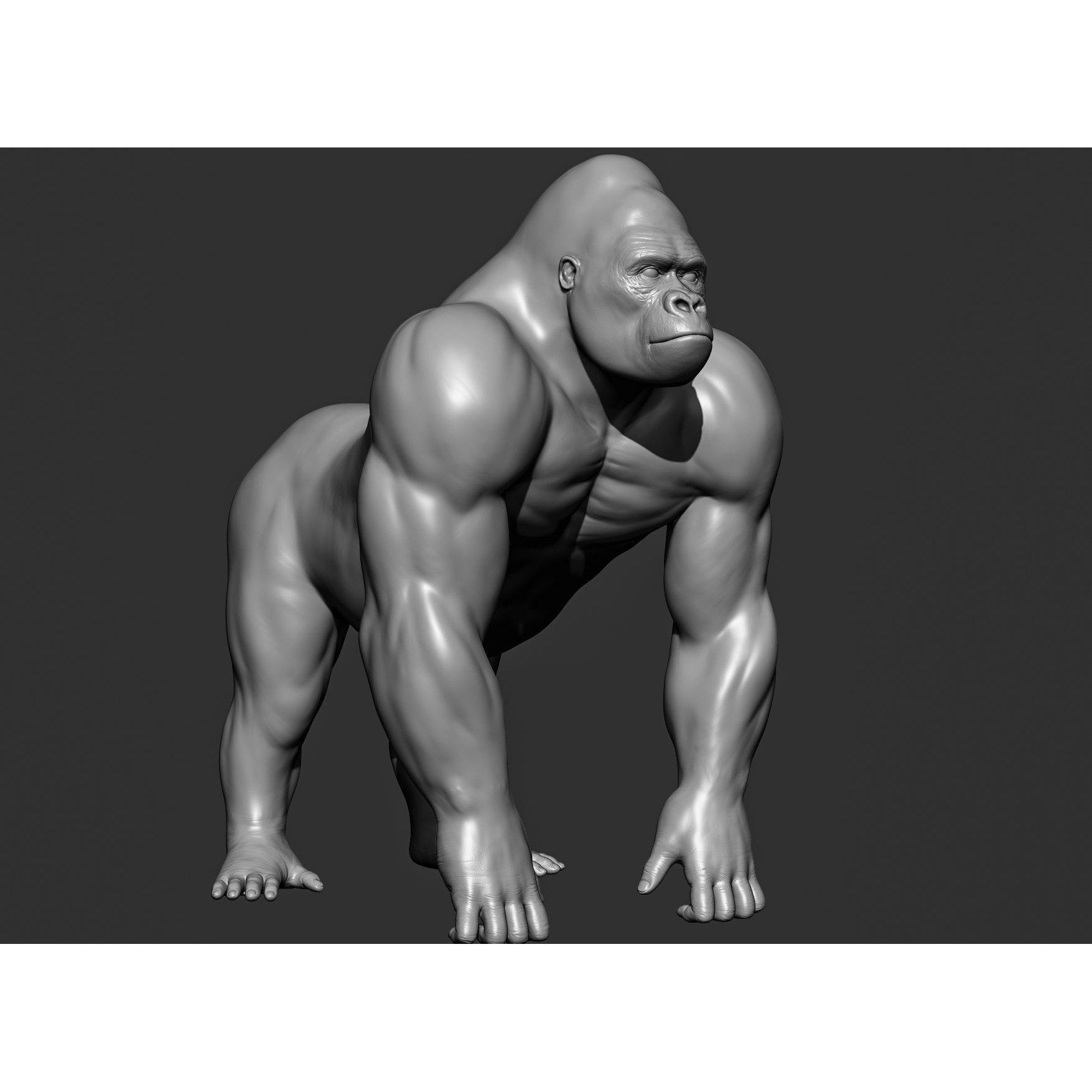 Wild Animal Collection - Realistic 3D Model - View 99